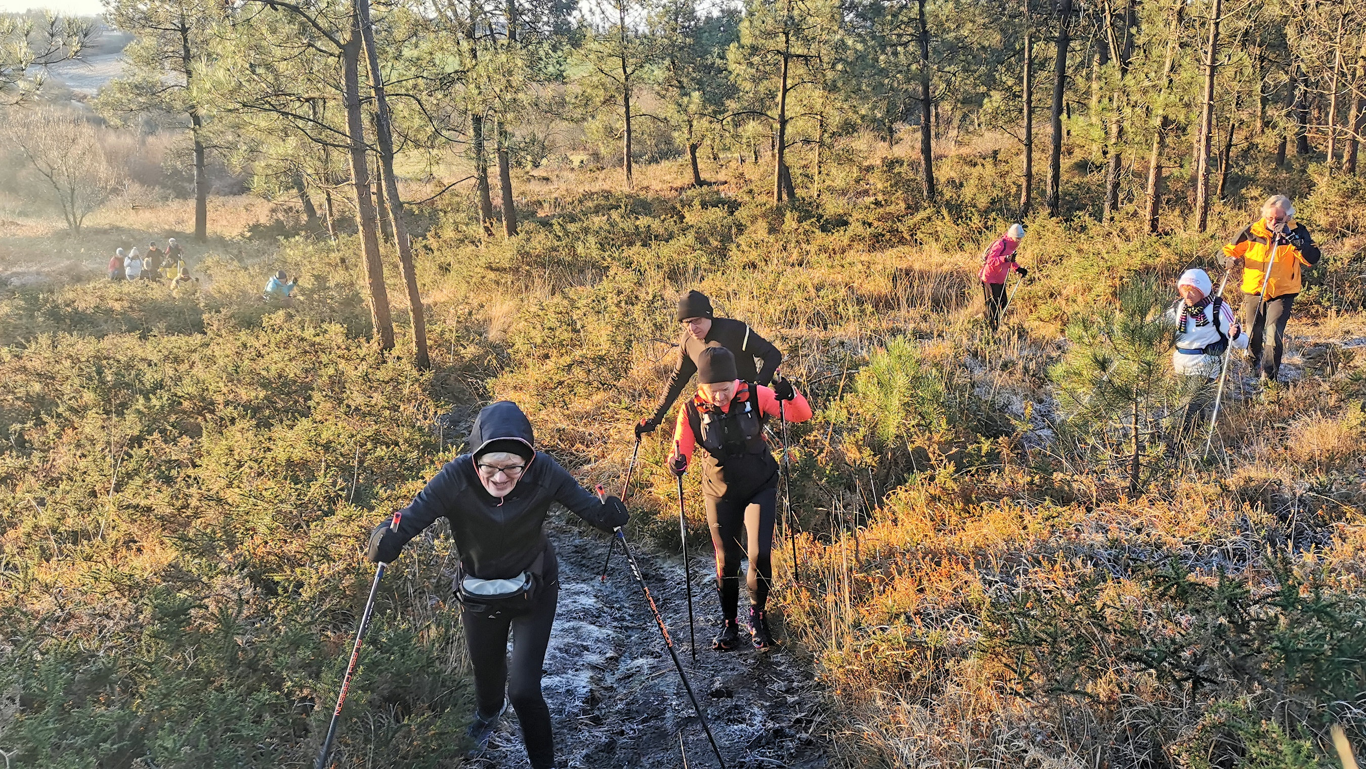 004-IMG_20210110_094550