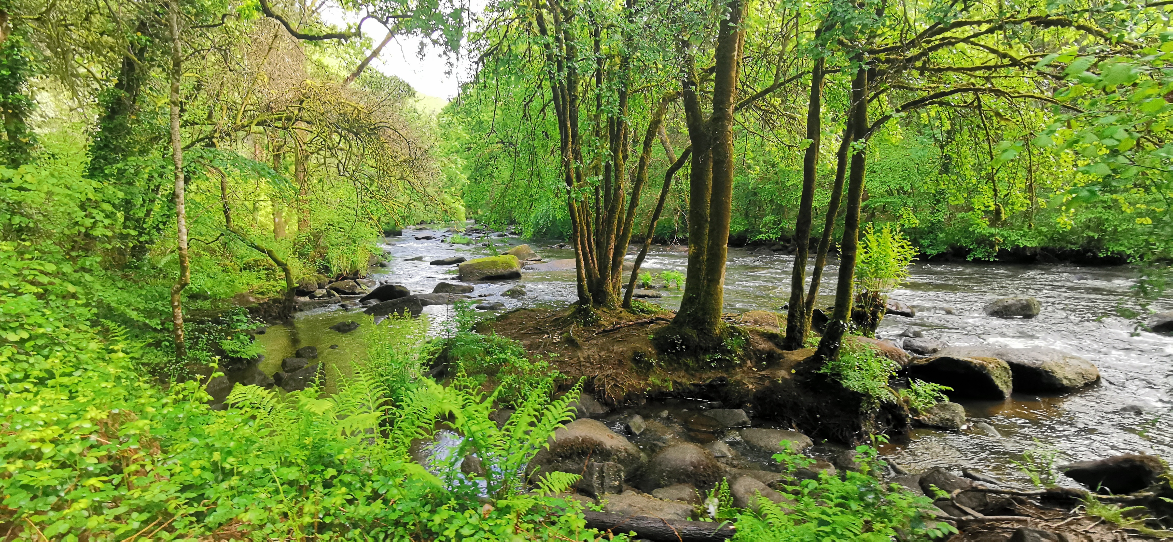 037-IMG_20210513_101846