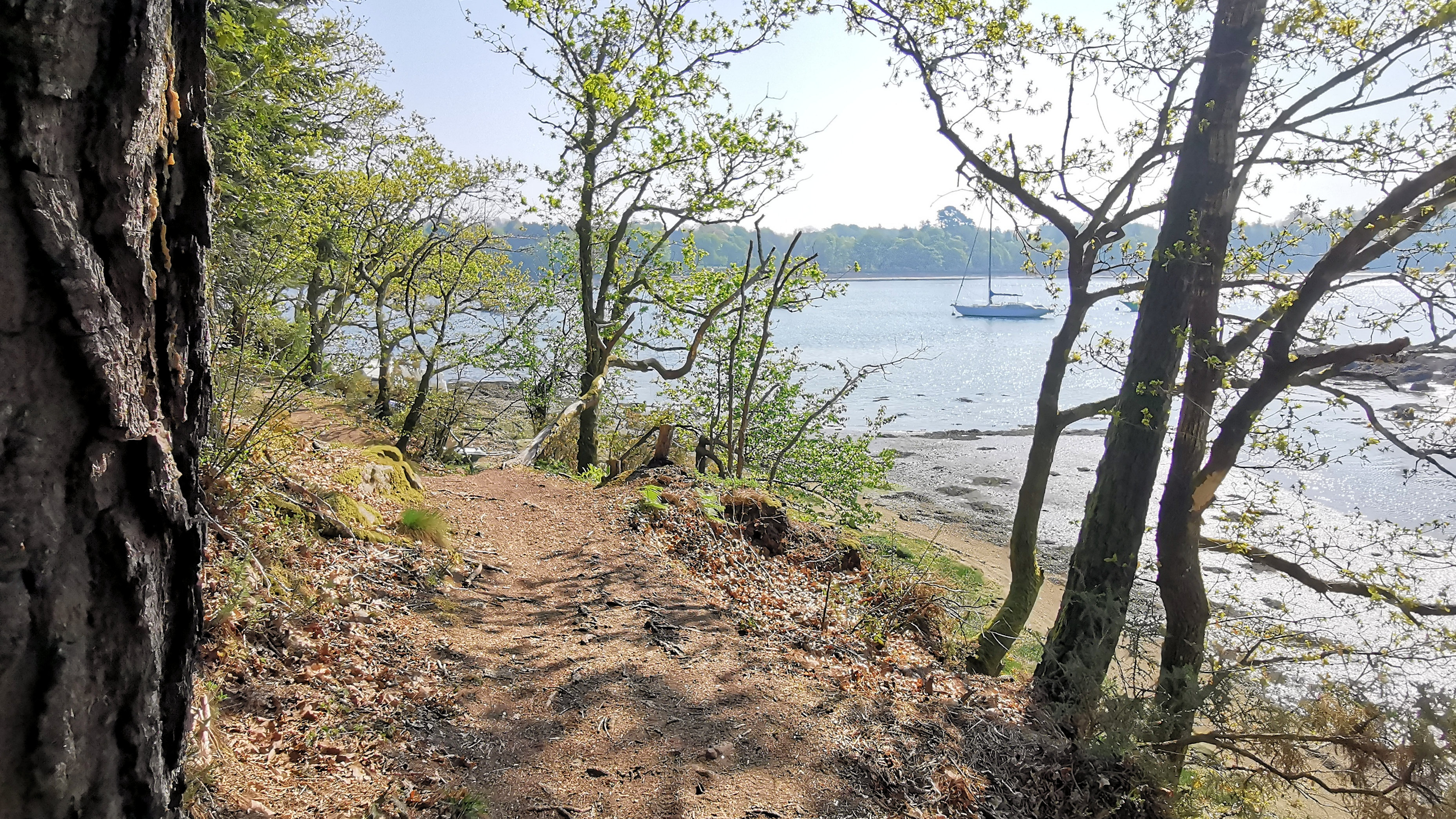 50-IMG_20210422_111220