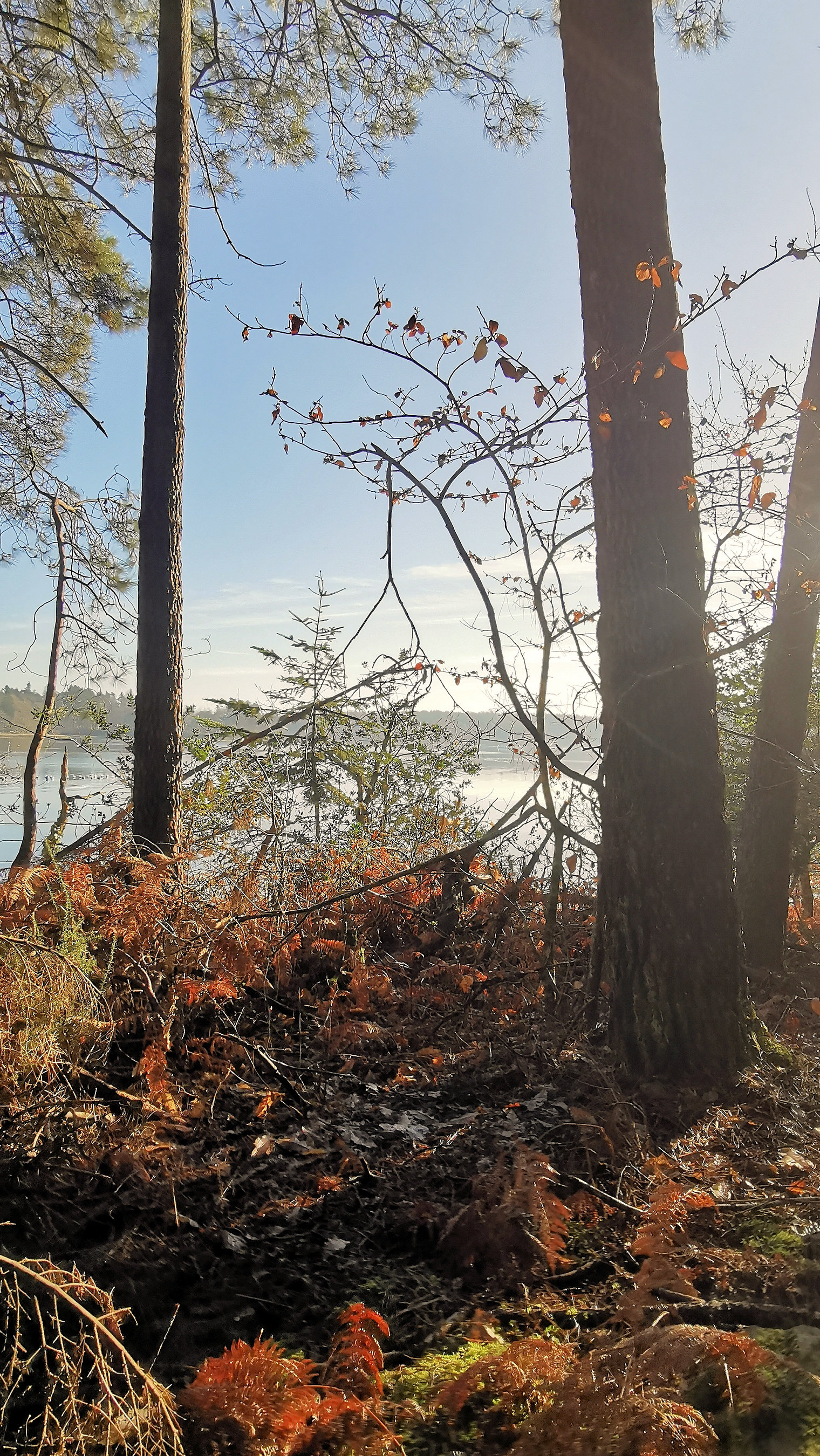 31-IMG_20210206_105823