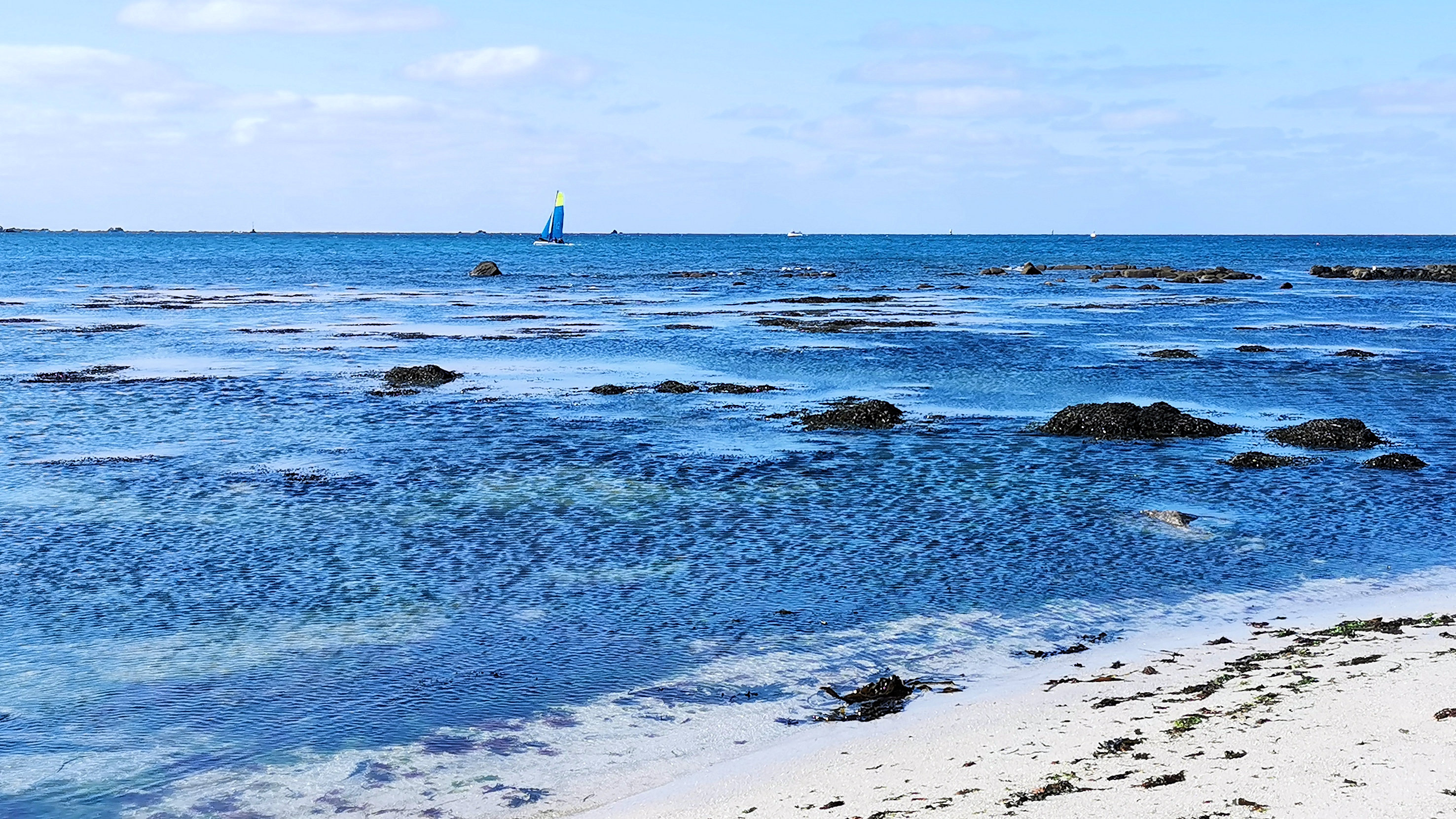 61-IMG_20210403_112726