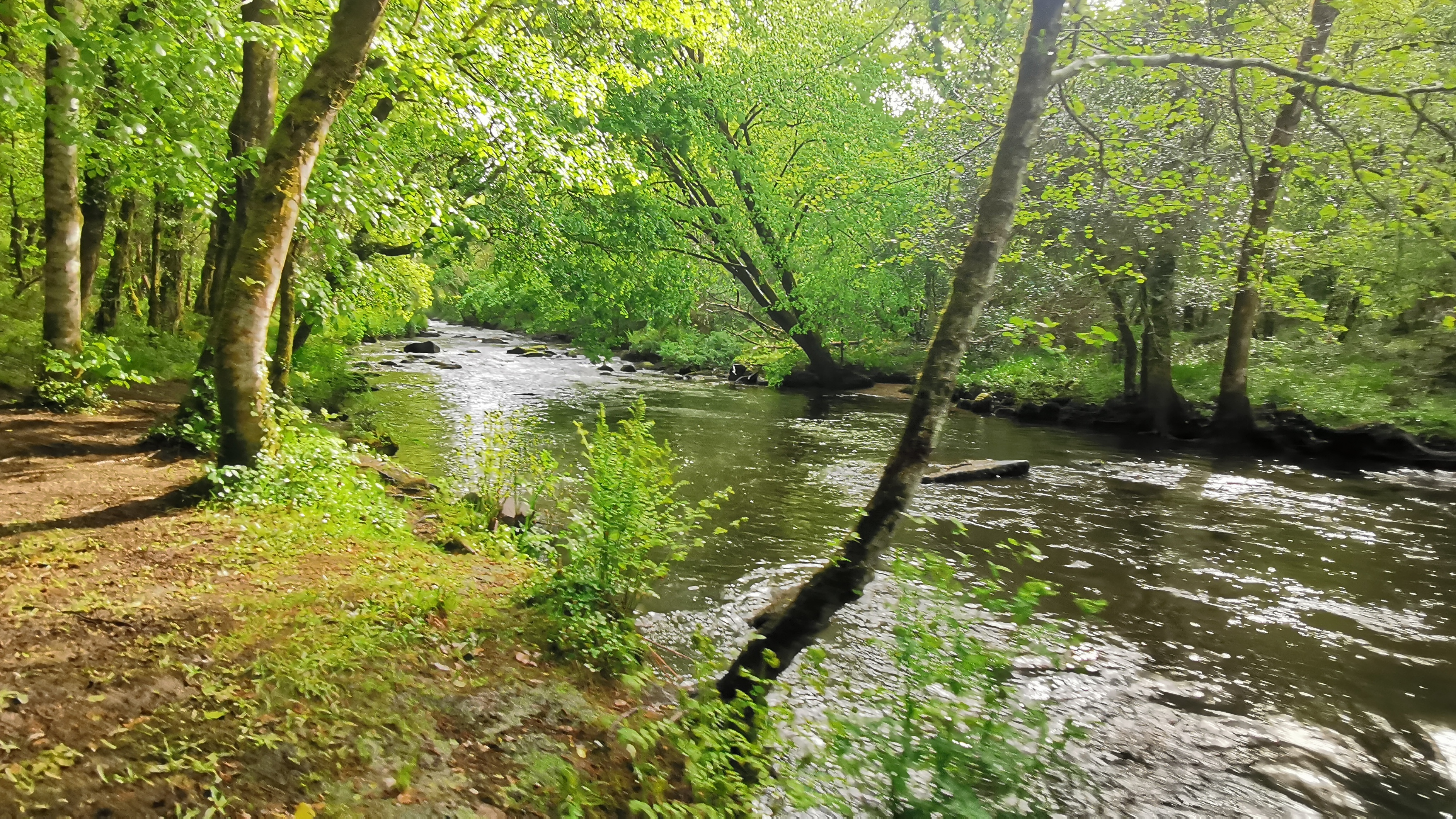 041-IMG_20210513_102100_1