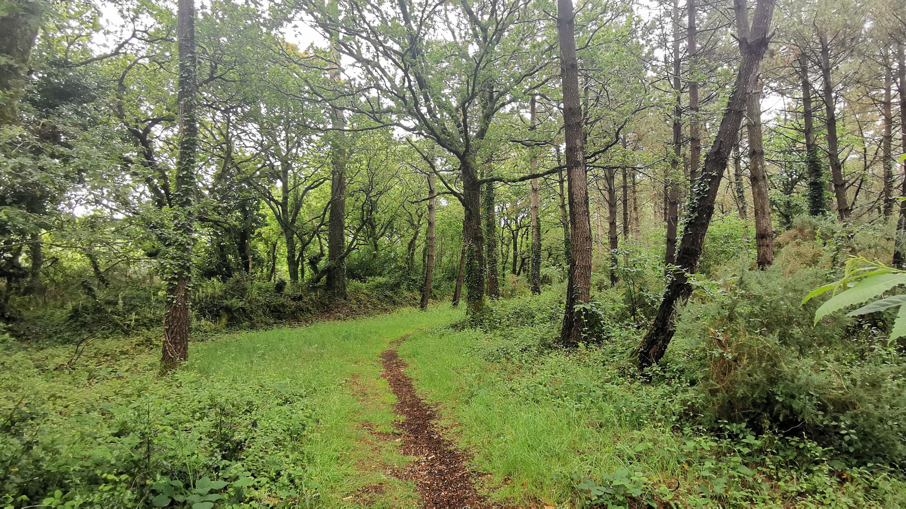 33-IMG_20210617_110229