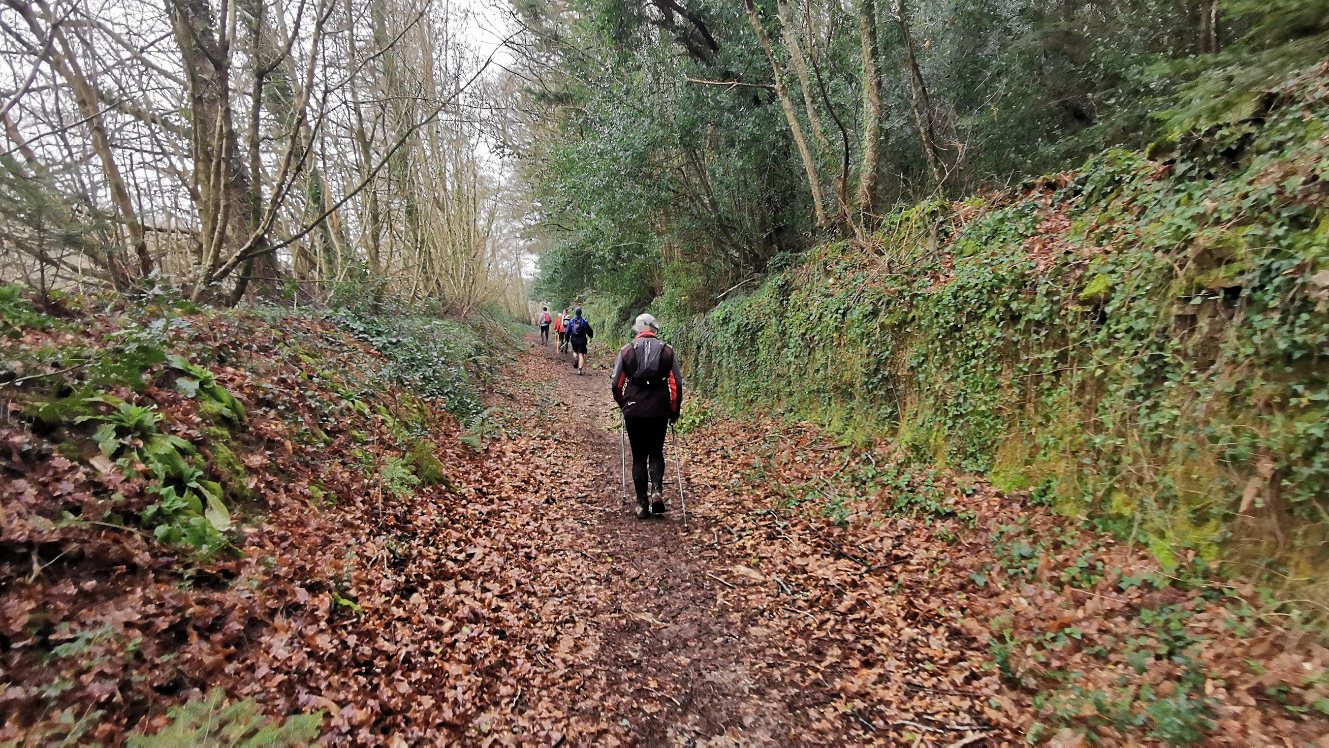 184-IMG_20210220_133837