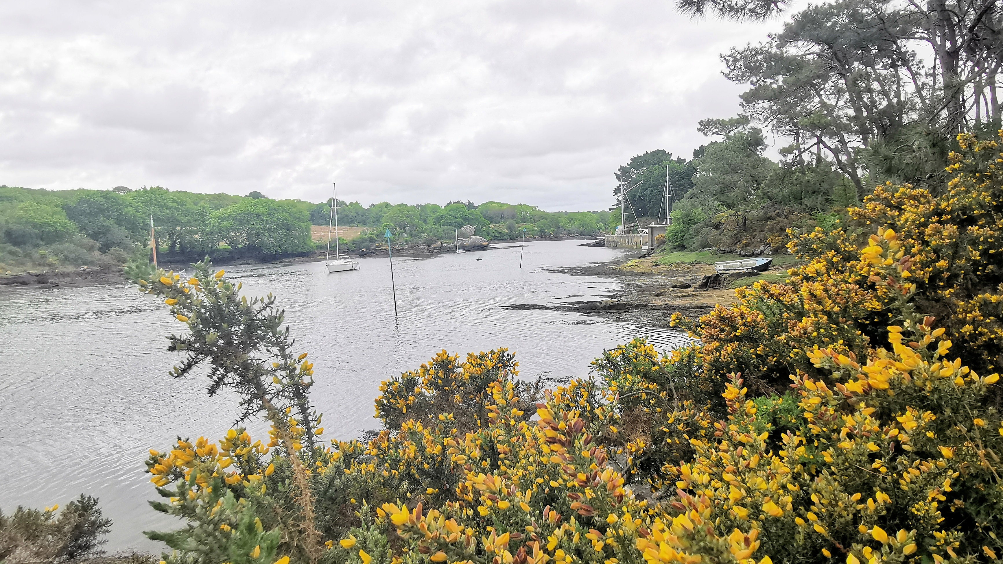 58-IMG_20210520_103704