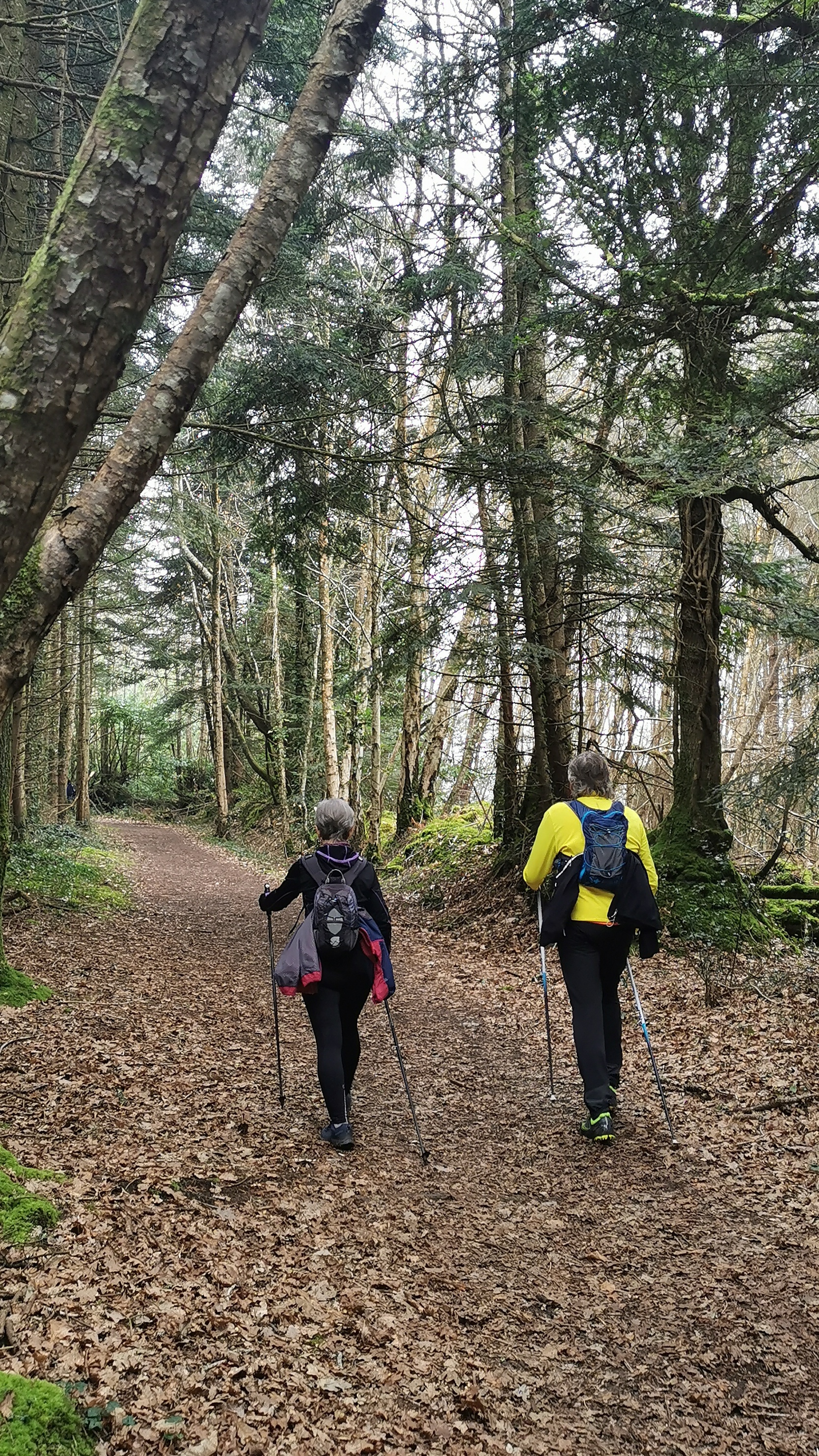 44-IMG_20210304_110828_1