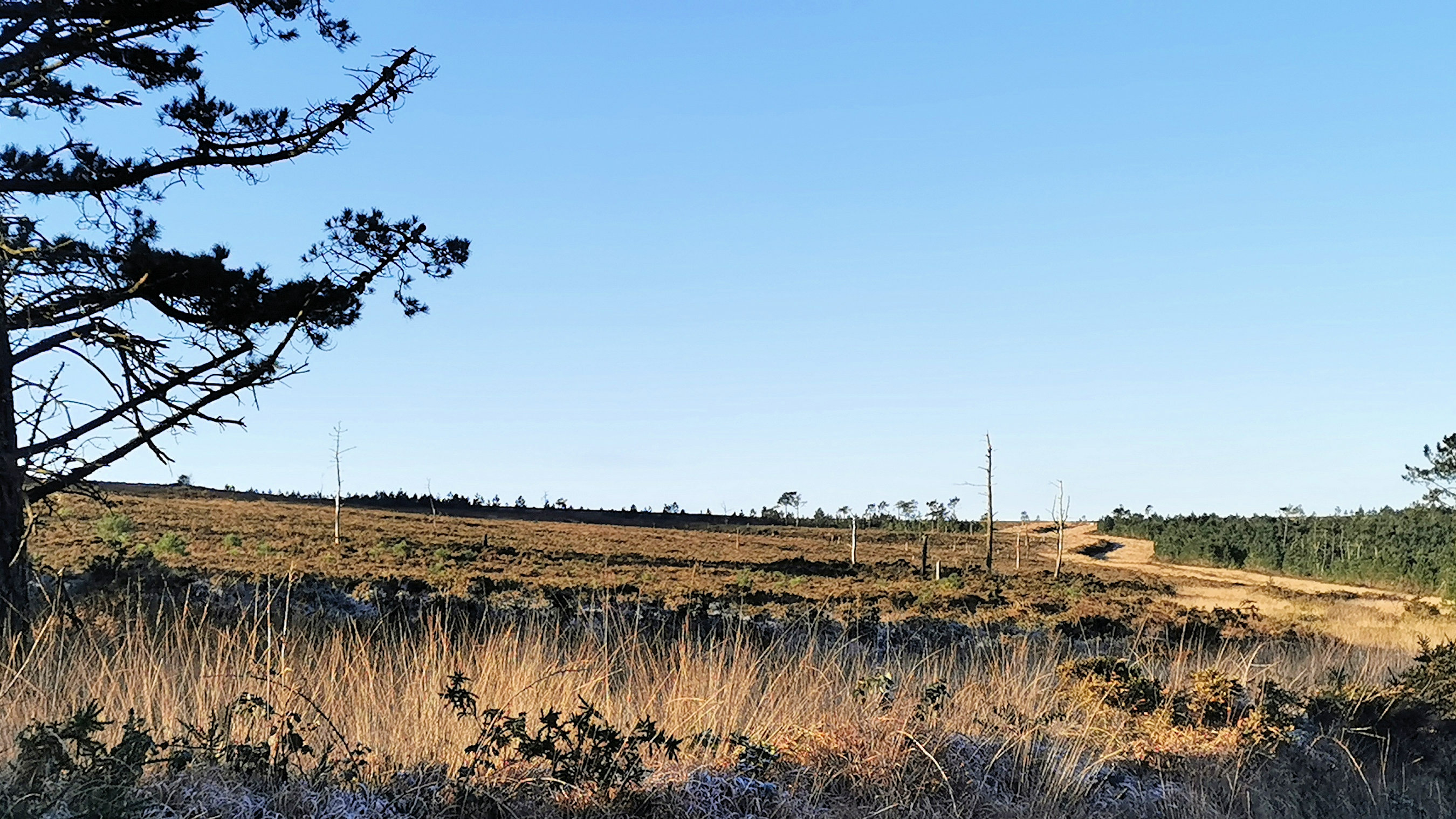 061-IMG_20210110_104156