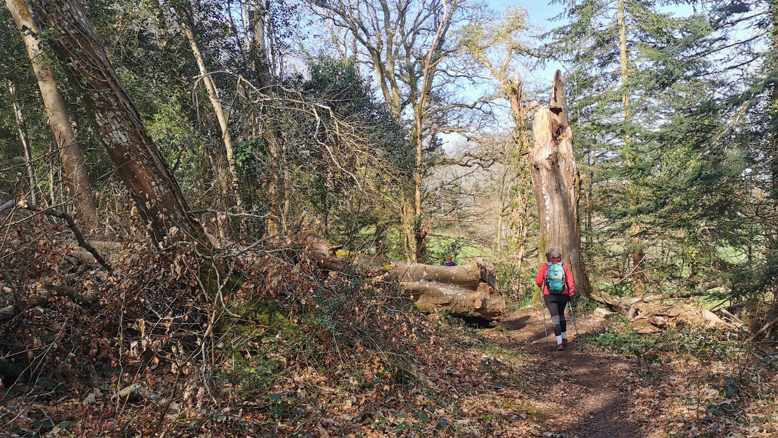 58-IMG_20210318_105140