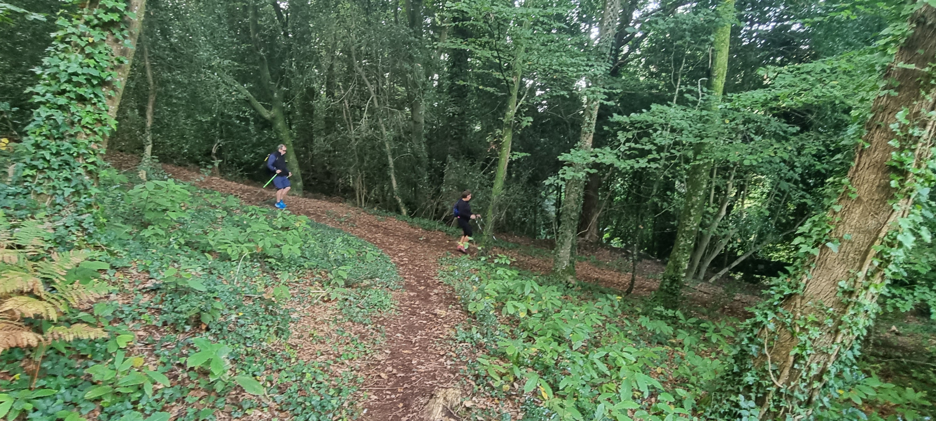 14-20211011_102829(0)