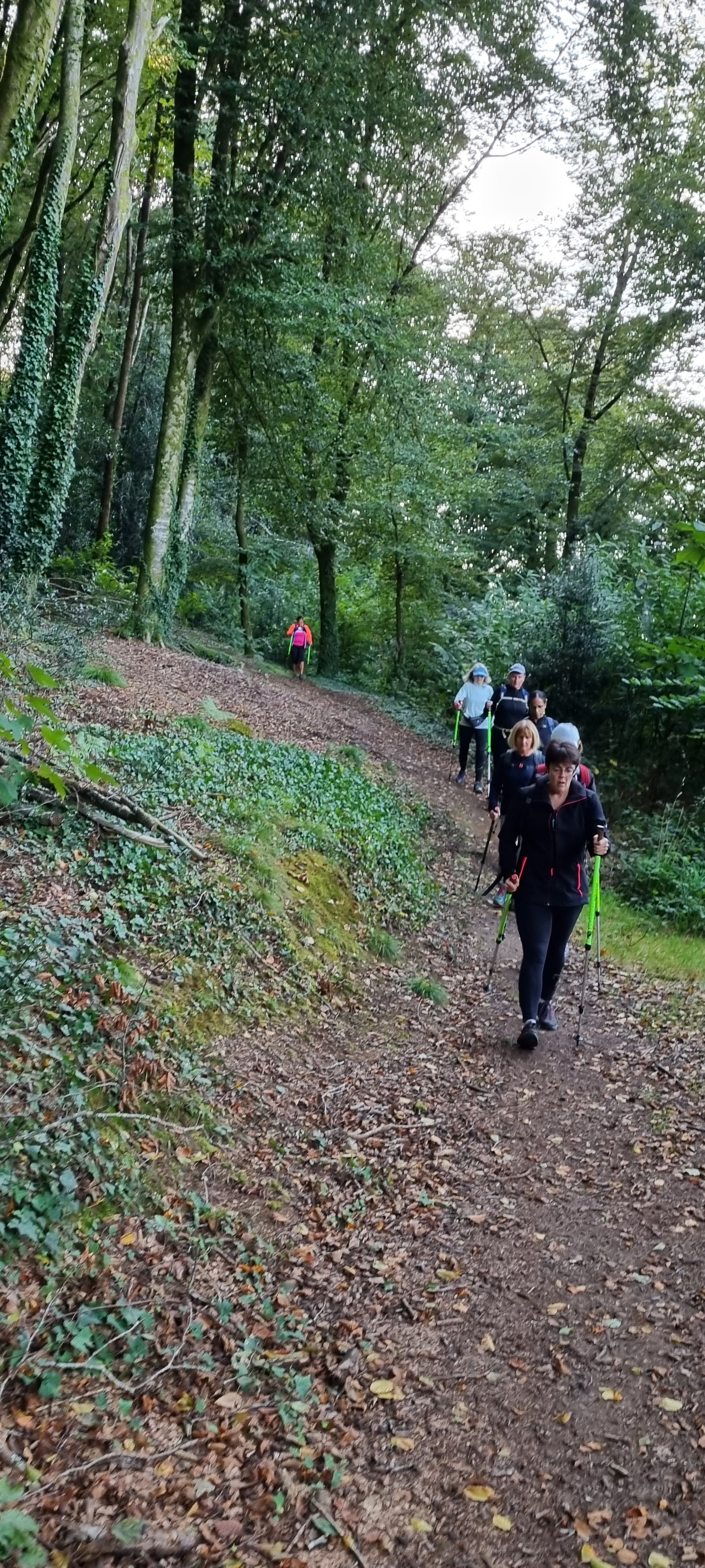 12-20211012_183251(0)