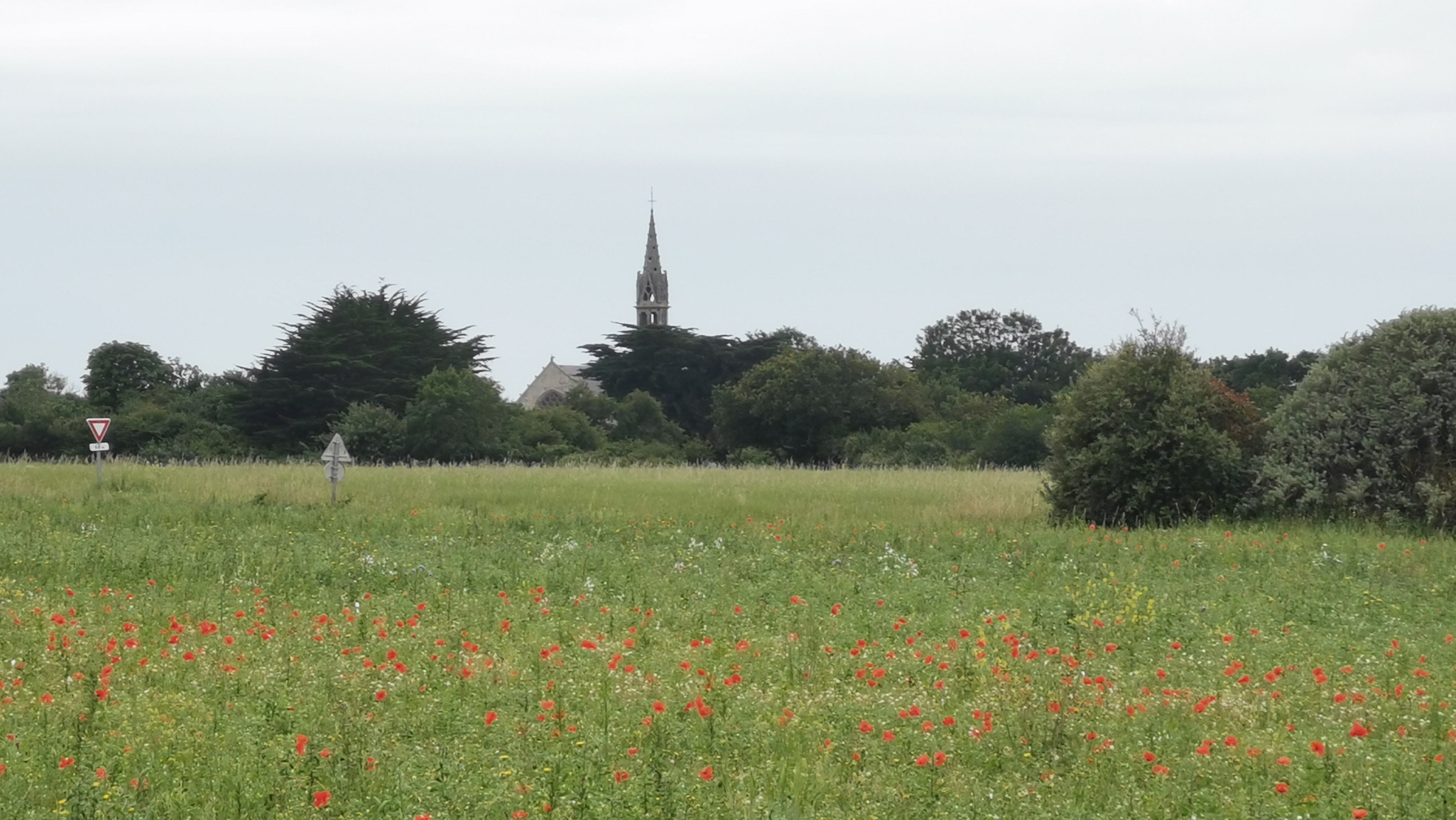 49-IMG_20210619_105008