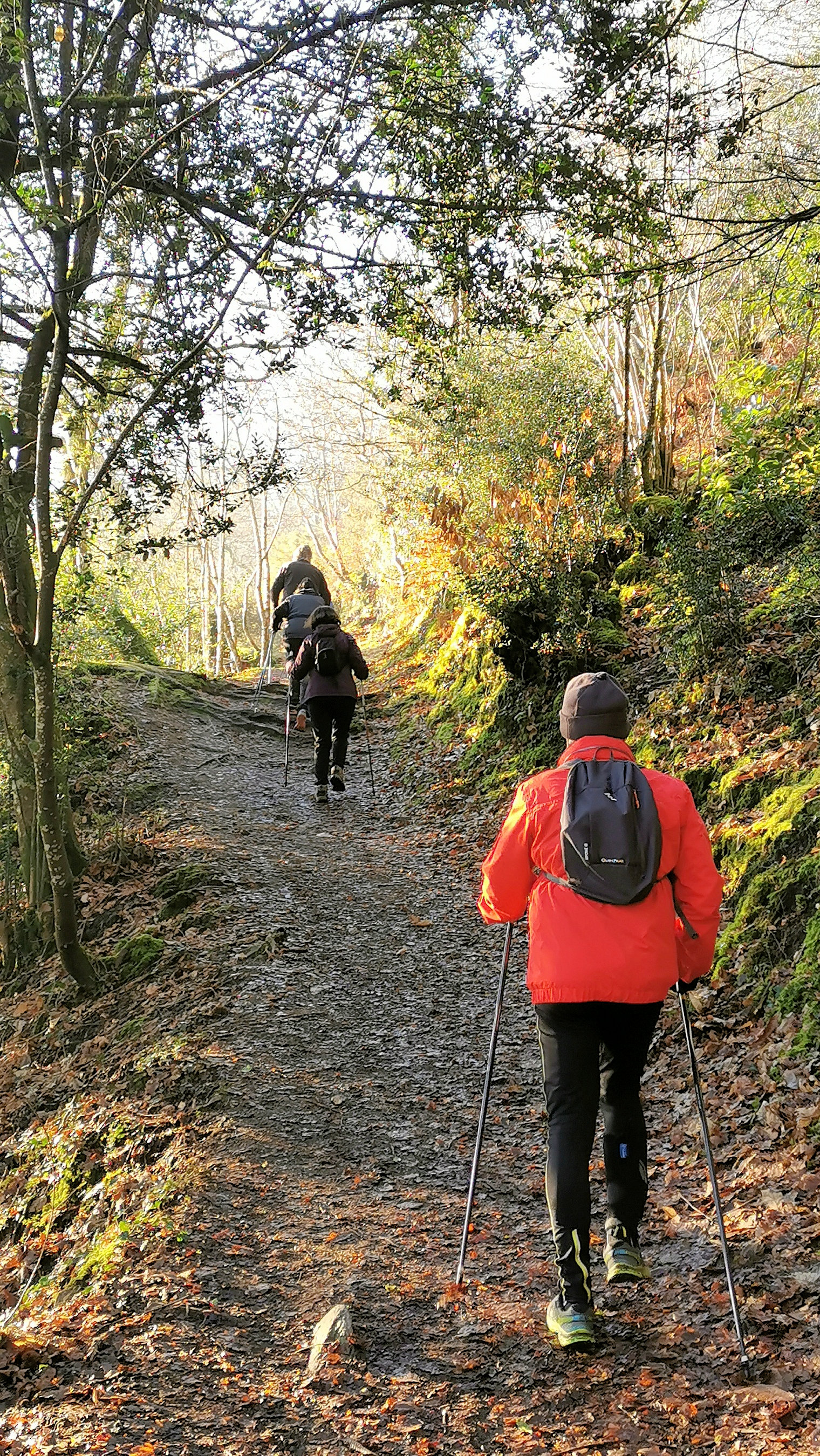 22-IMG_20210109_104301_1