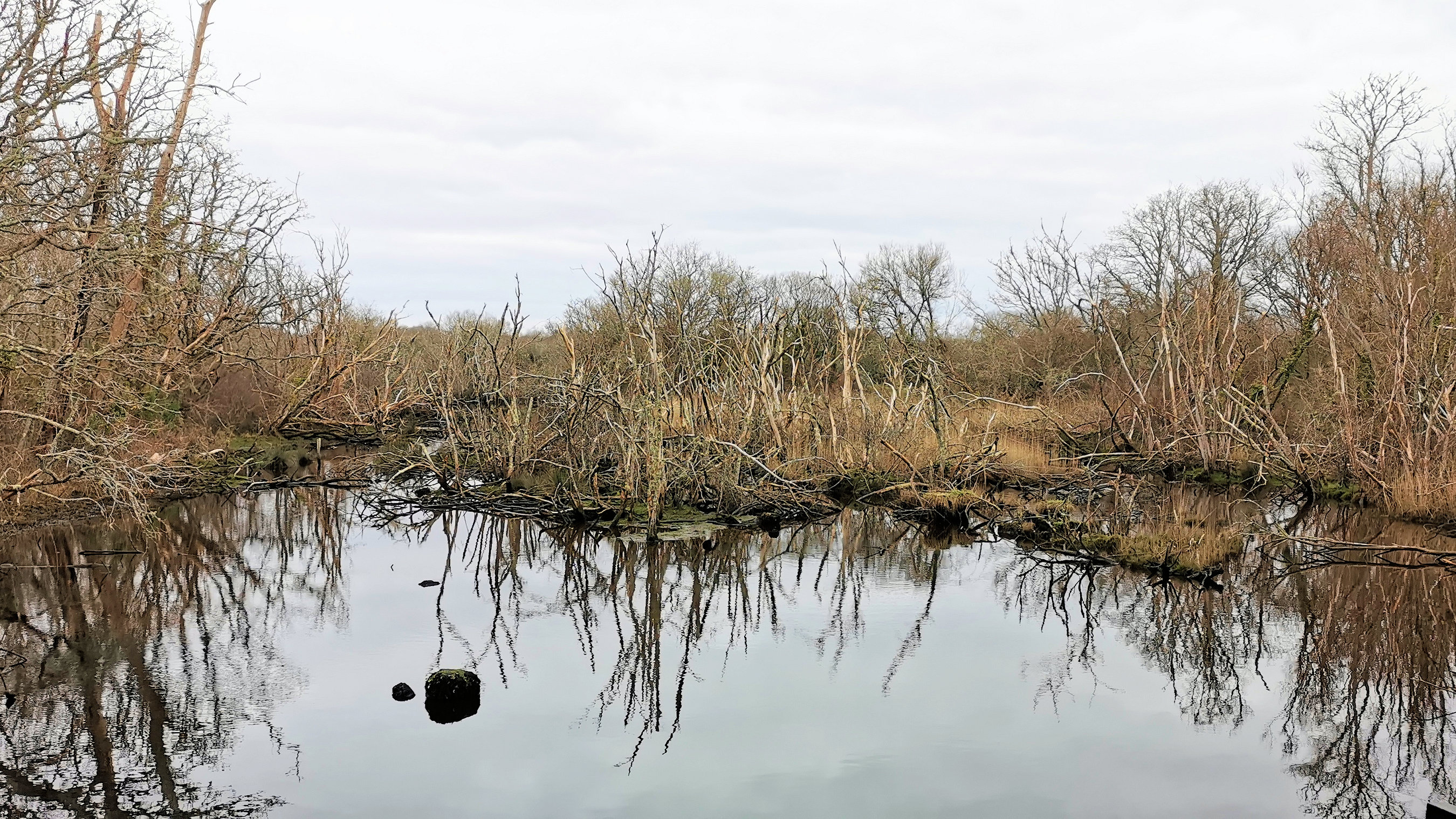 05-IMG_20210208_095037