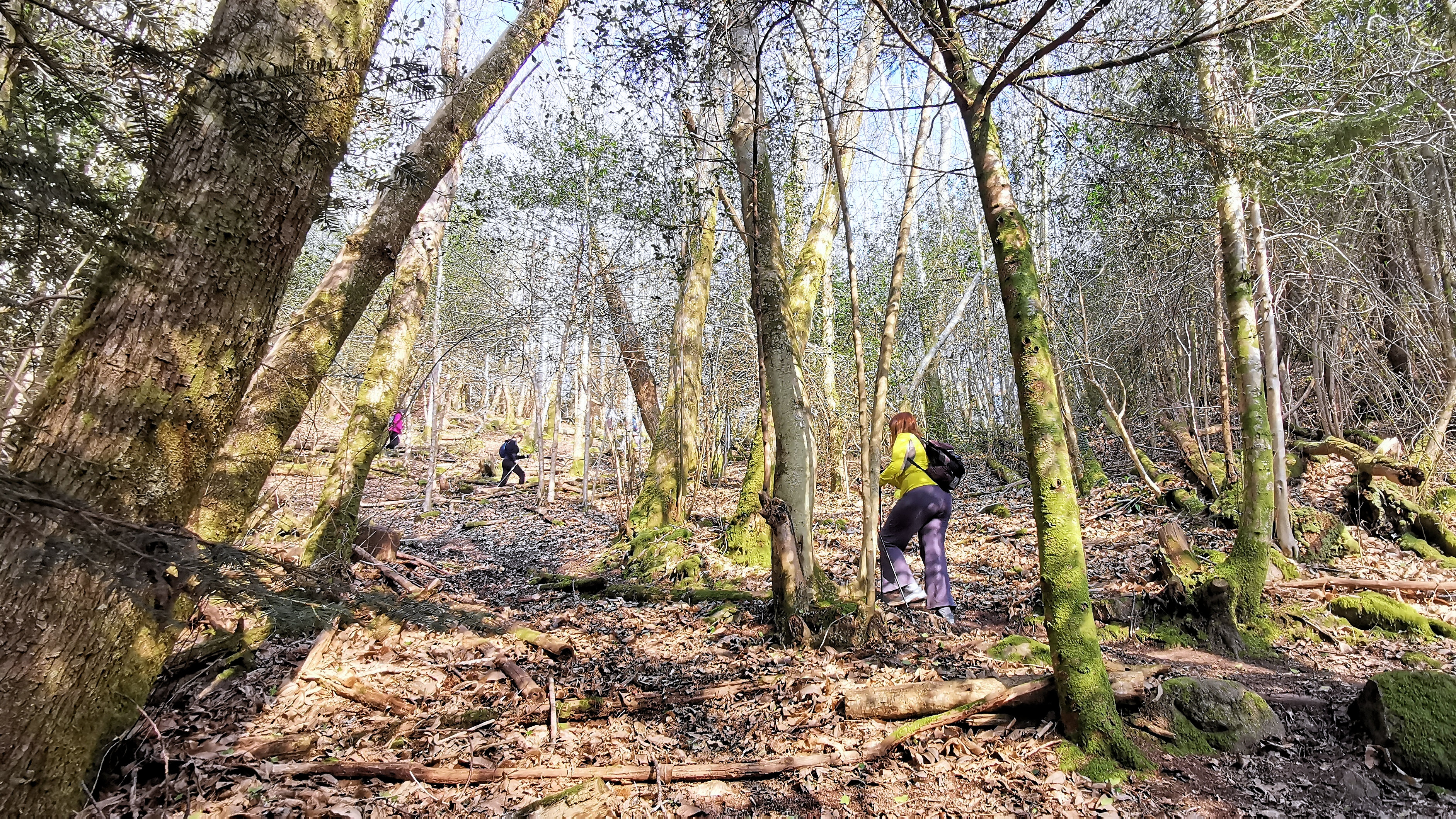 95-IMG_20210307_112716