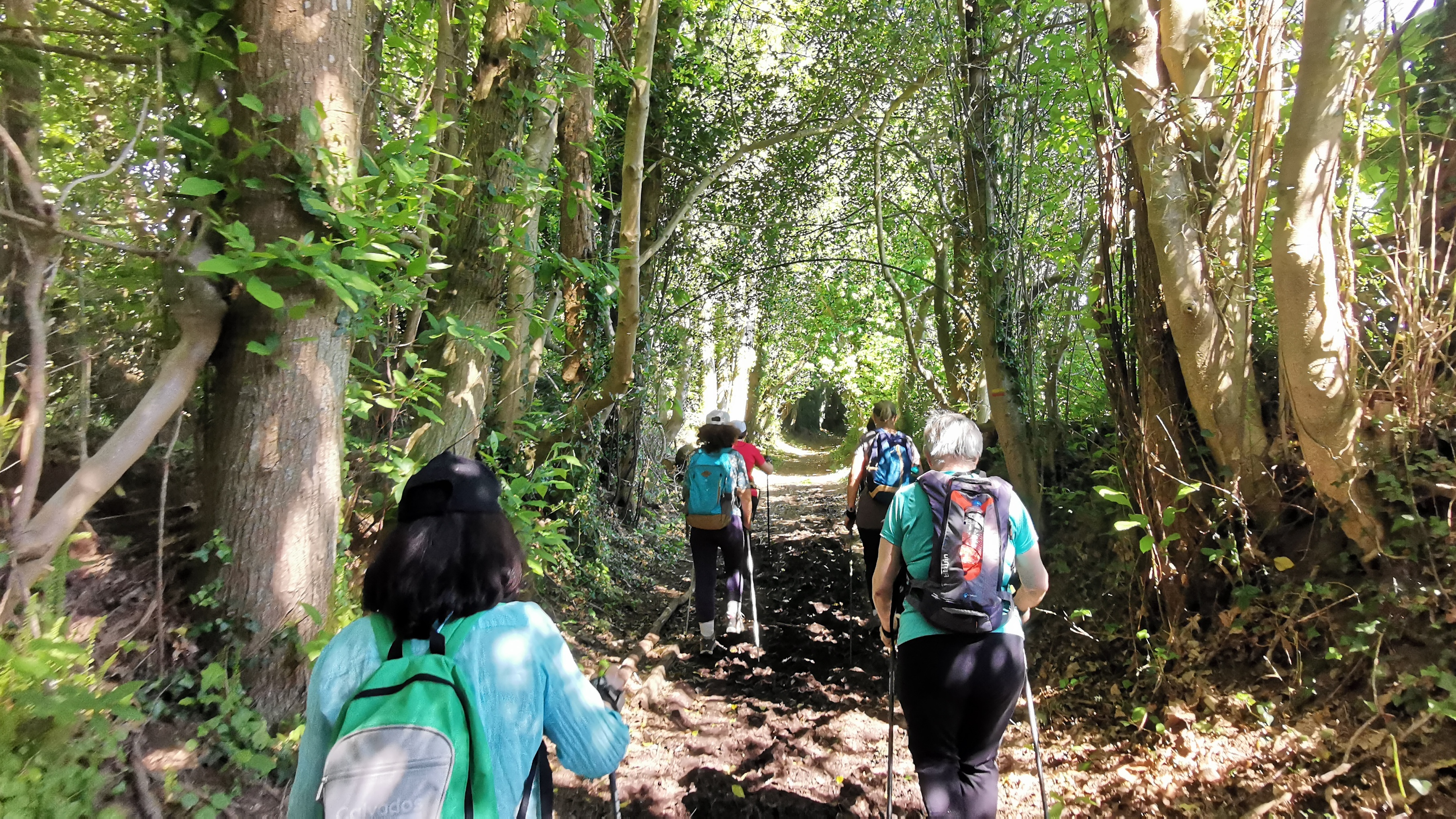 50-IMG_20210531_111637