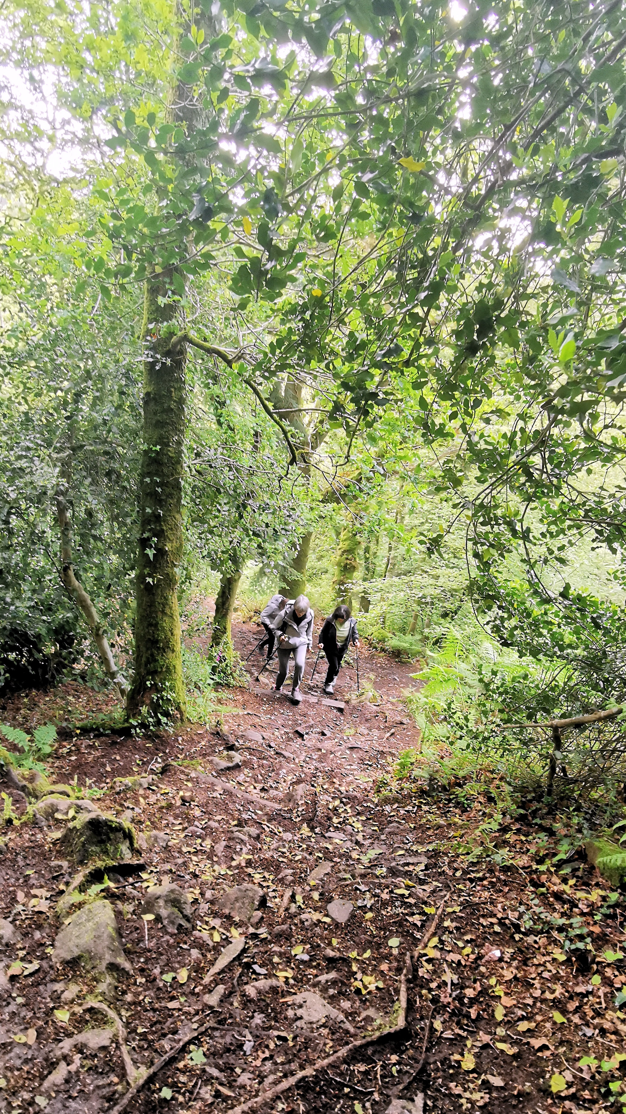 43-IMG_20210522_112124