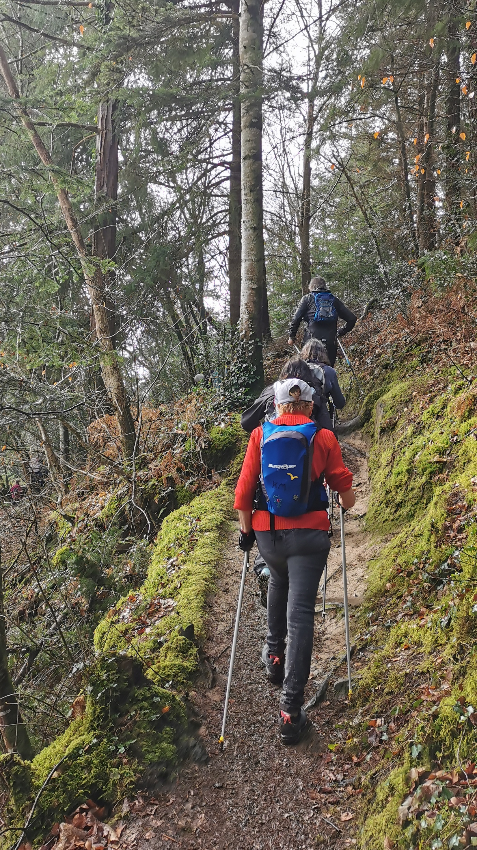 54-IMG_20210311_111431