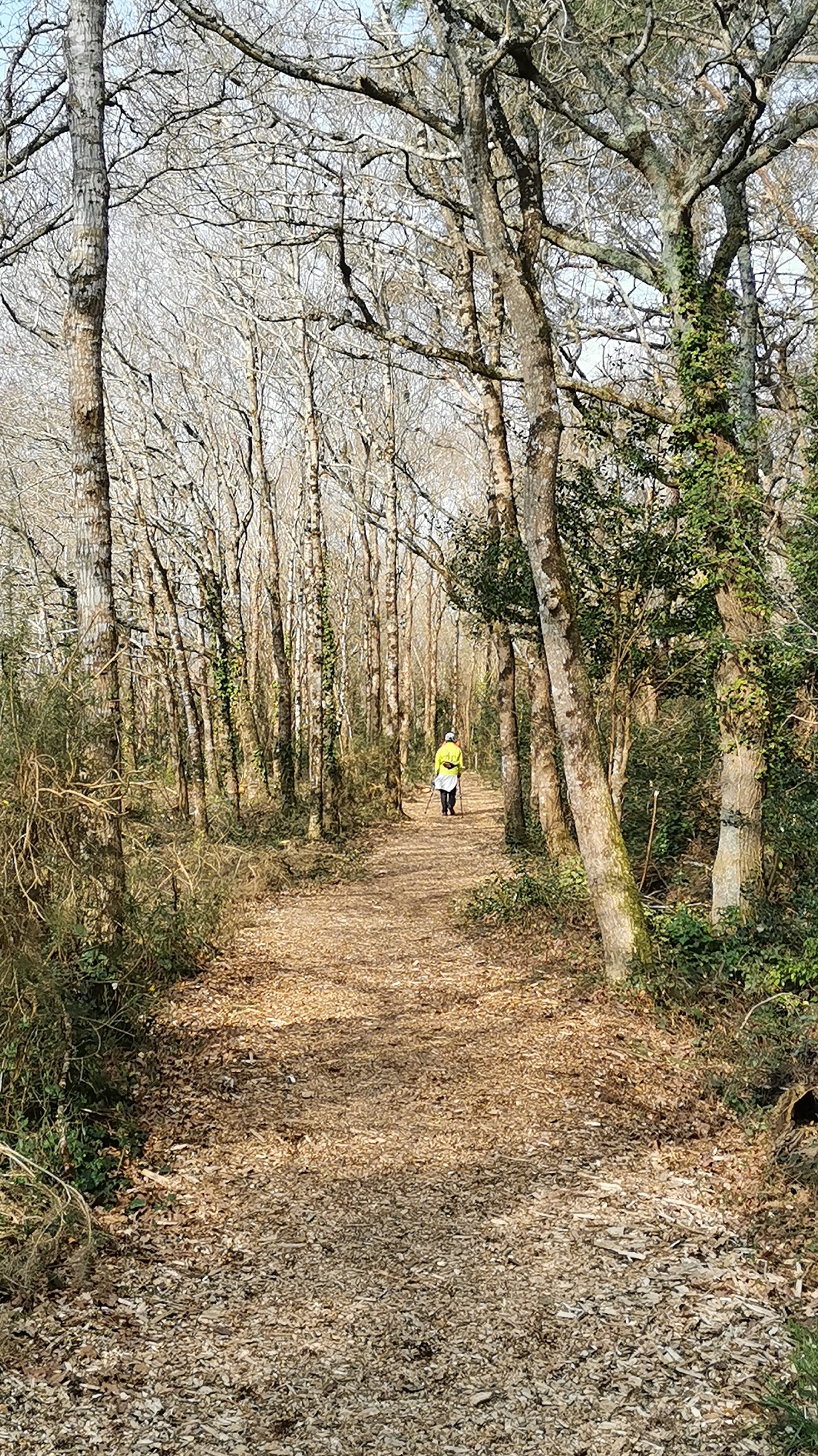 40-IMG_20210309_111336