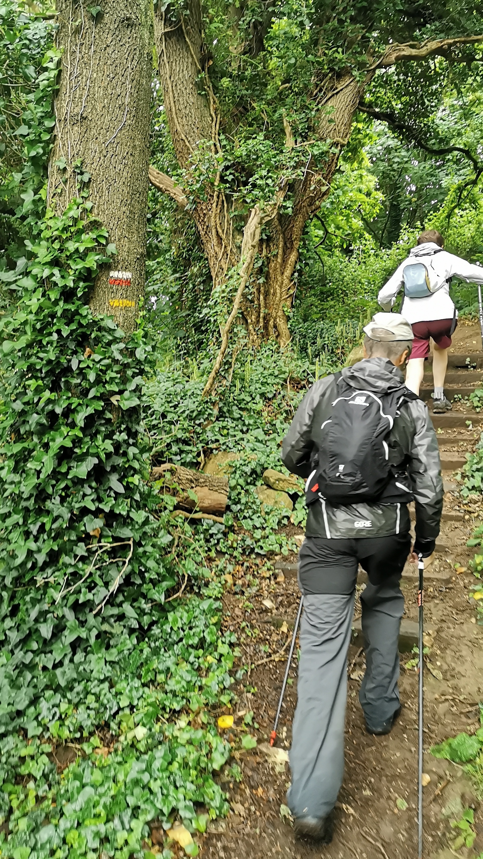 131-IMG_20210620_111111