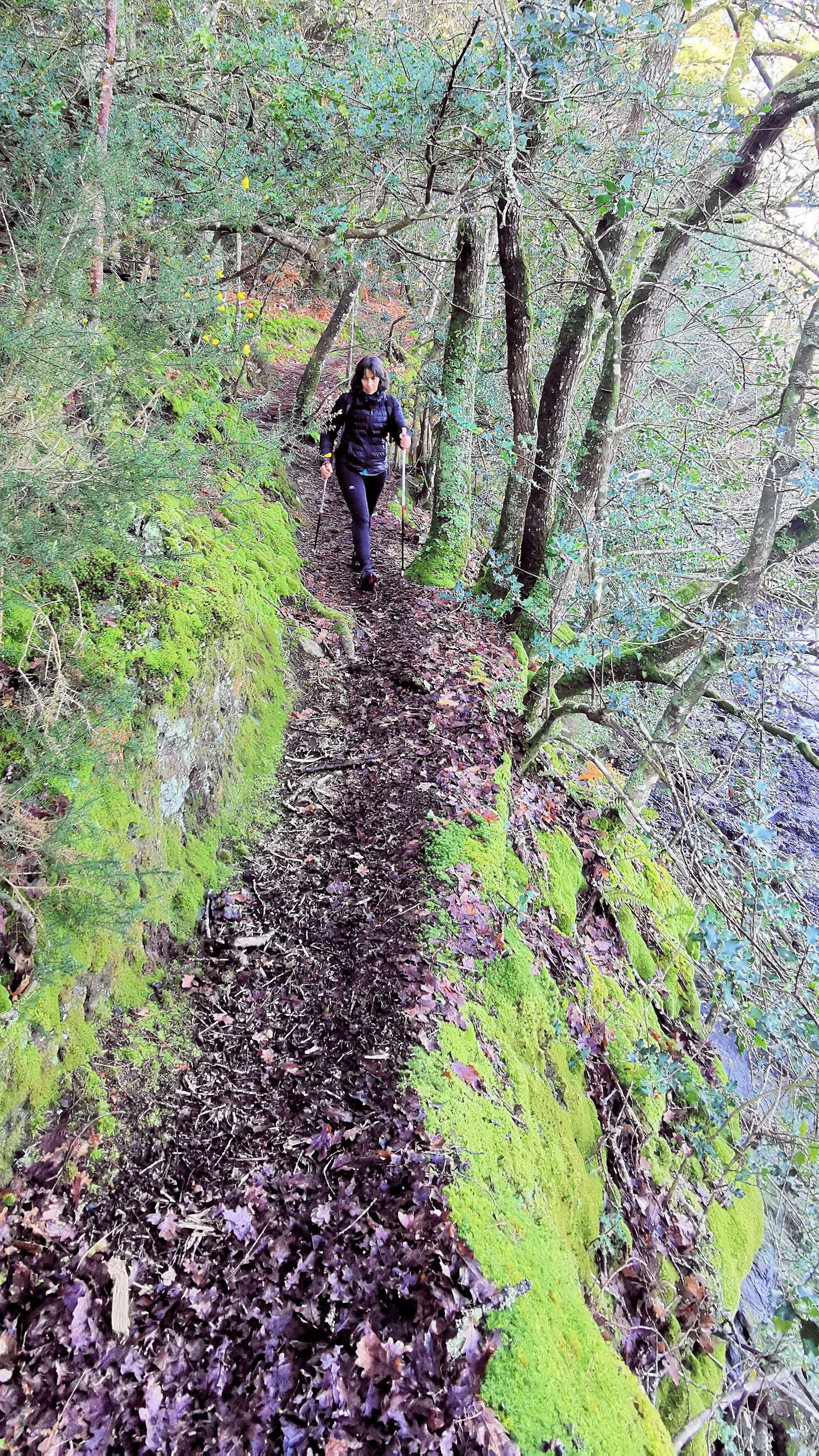 50-IMG_20210206_112906