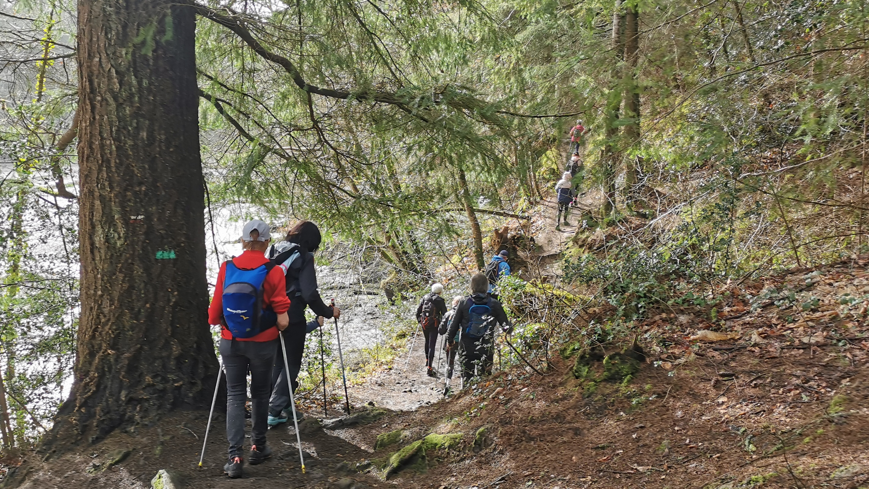 53-IMG_20210311_111406_1