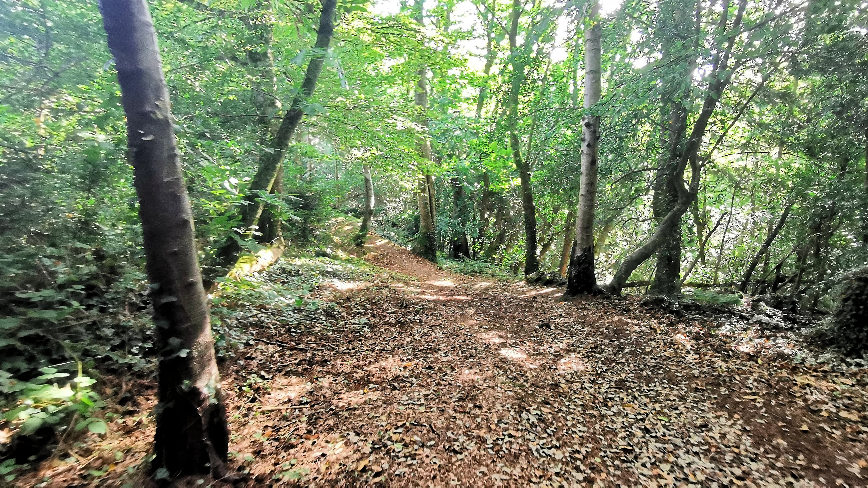 004-IMG_20210816_100247