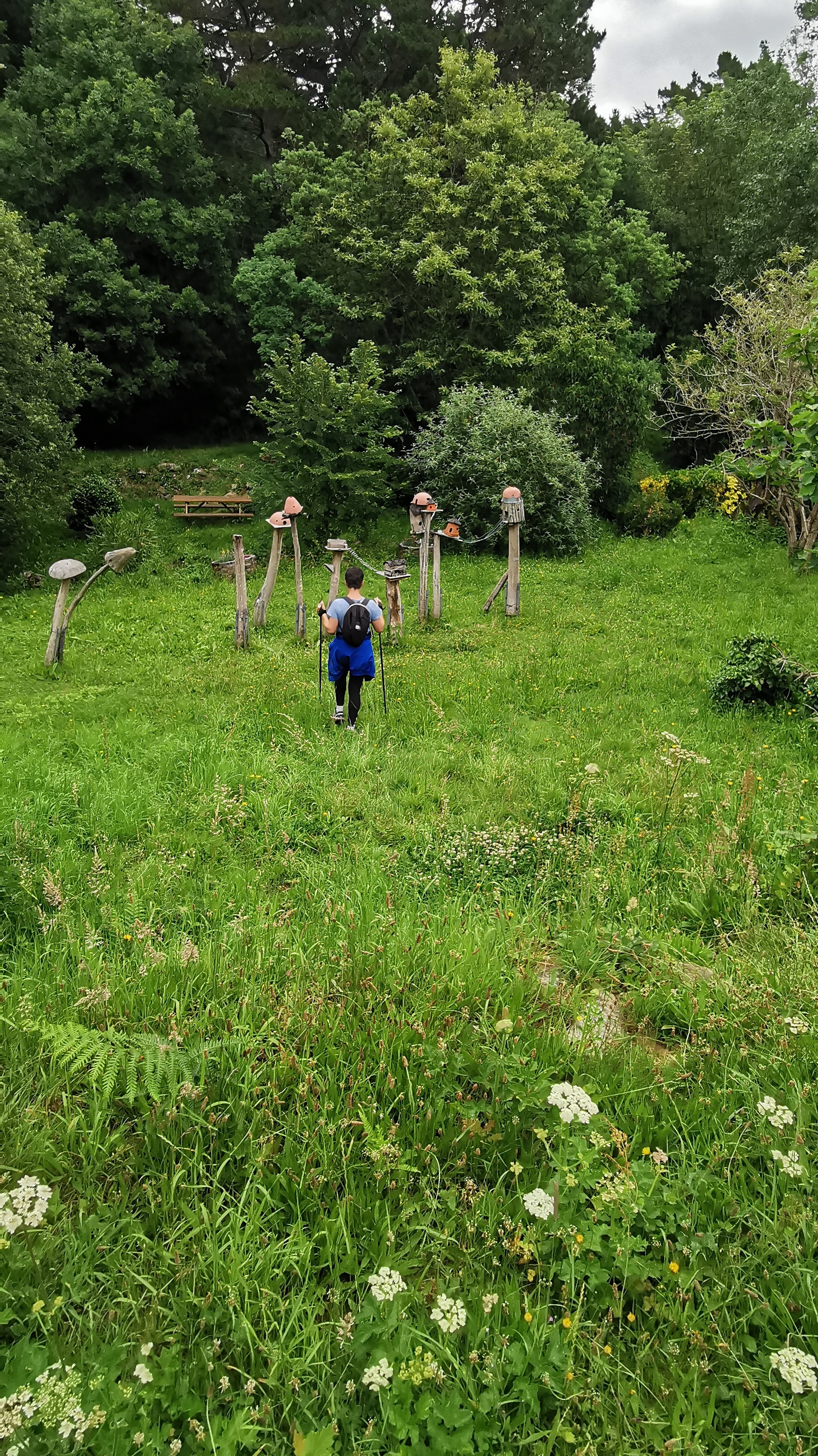 35-IMG_20210619_102031