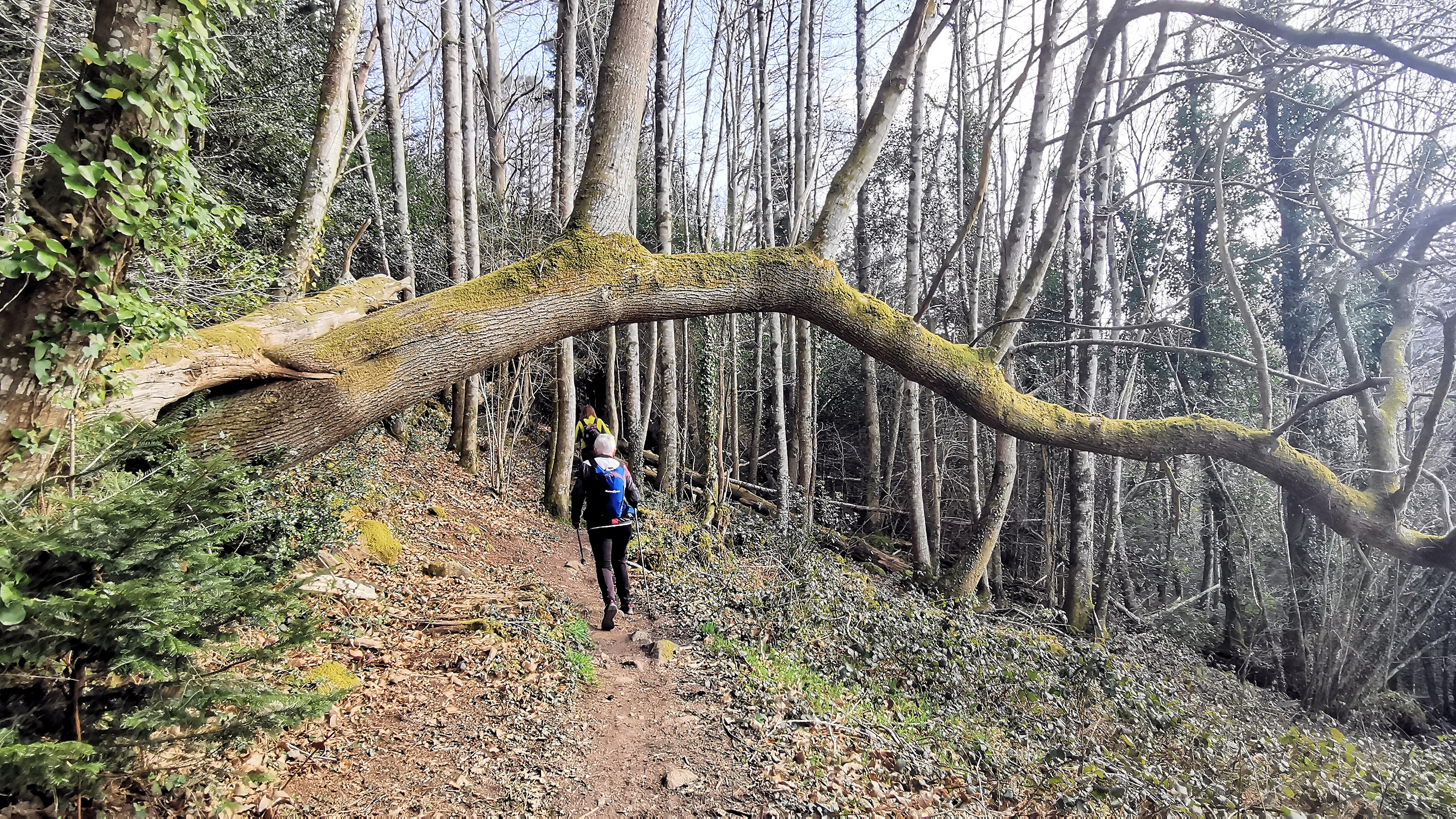 94-IMG_20210307_112624