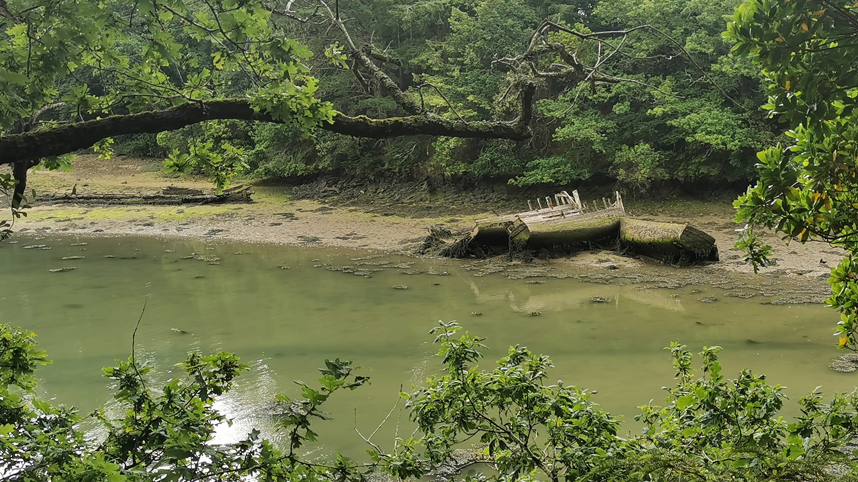 43-IMG_20210605_112355