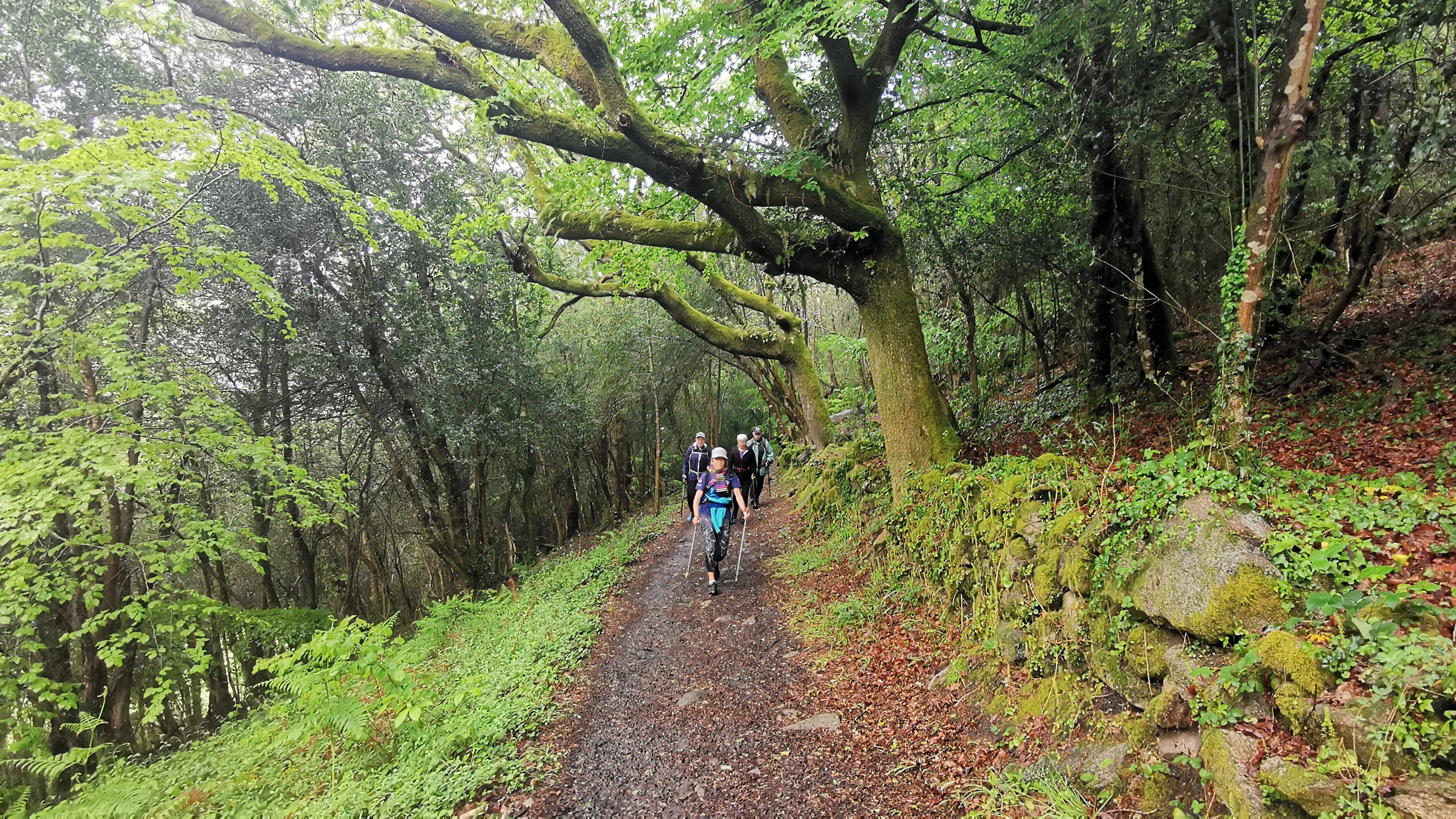 024-IMG_20210513_100826