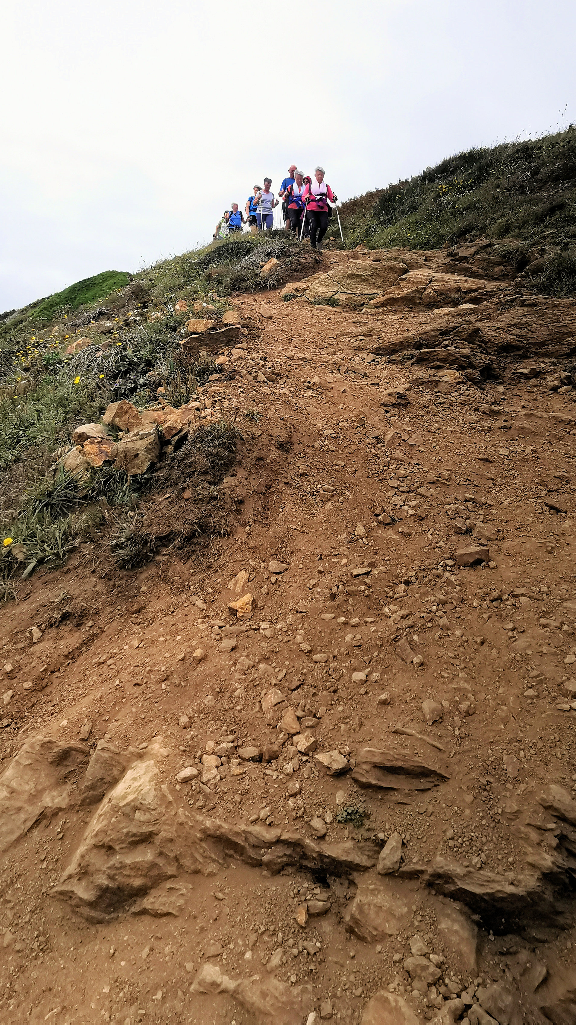 321-IMG_20210815_160323_1