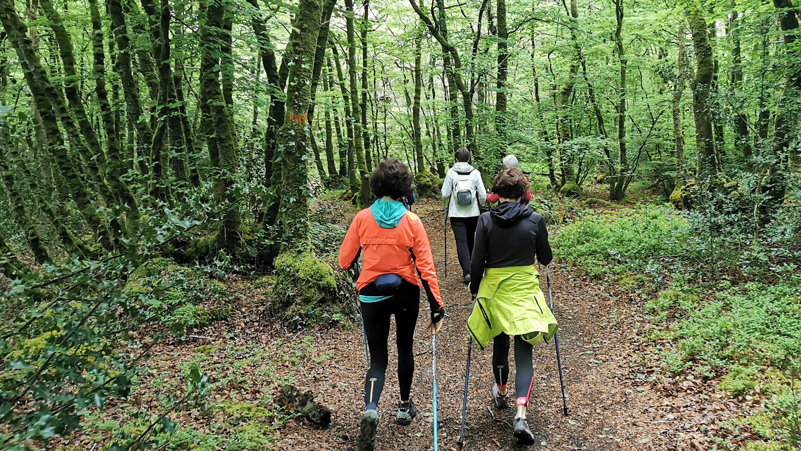 31-IMG_20210508_103907