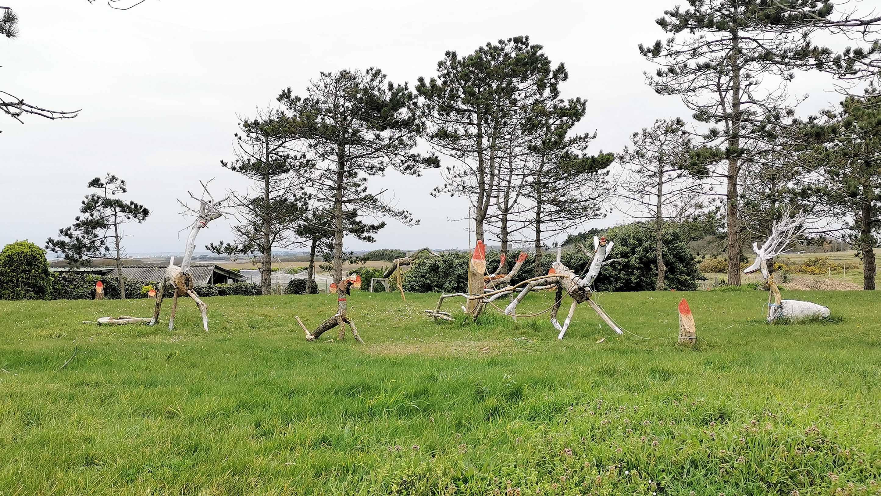 59-IMG_20210321_113021