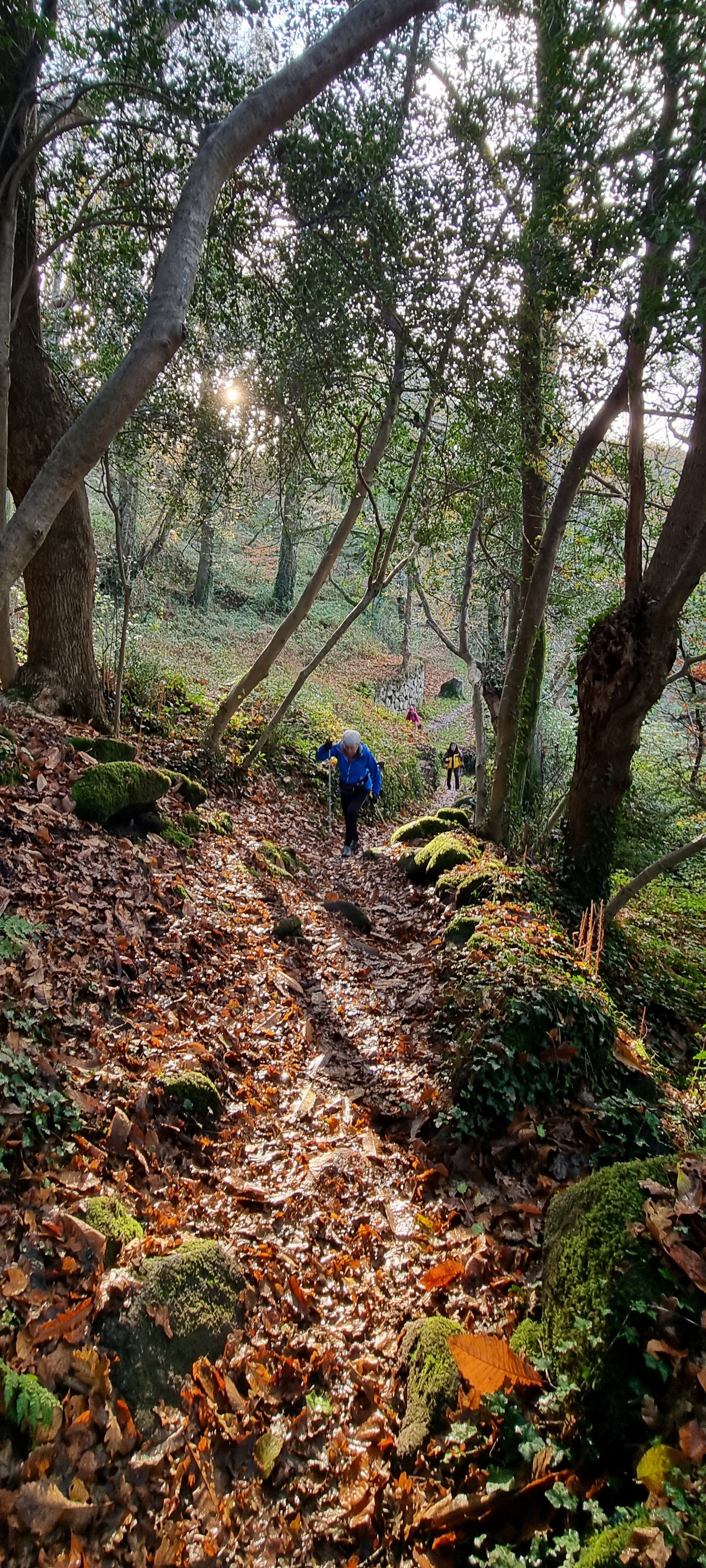 35-20211202_101003(0)