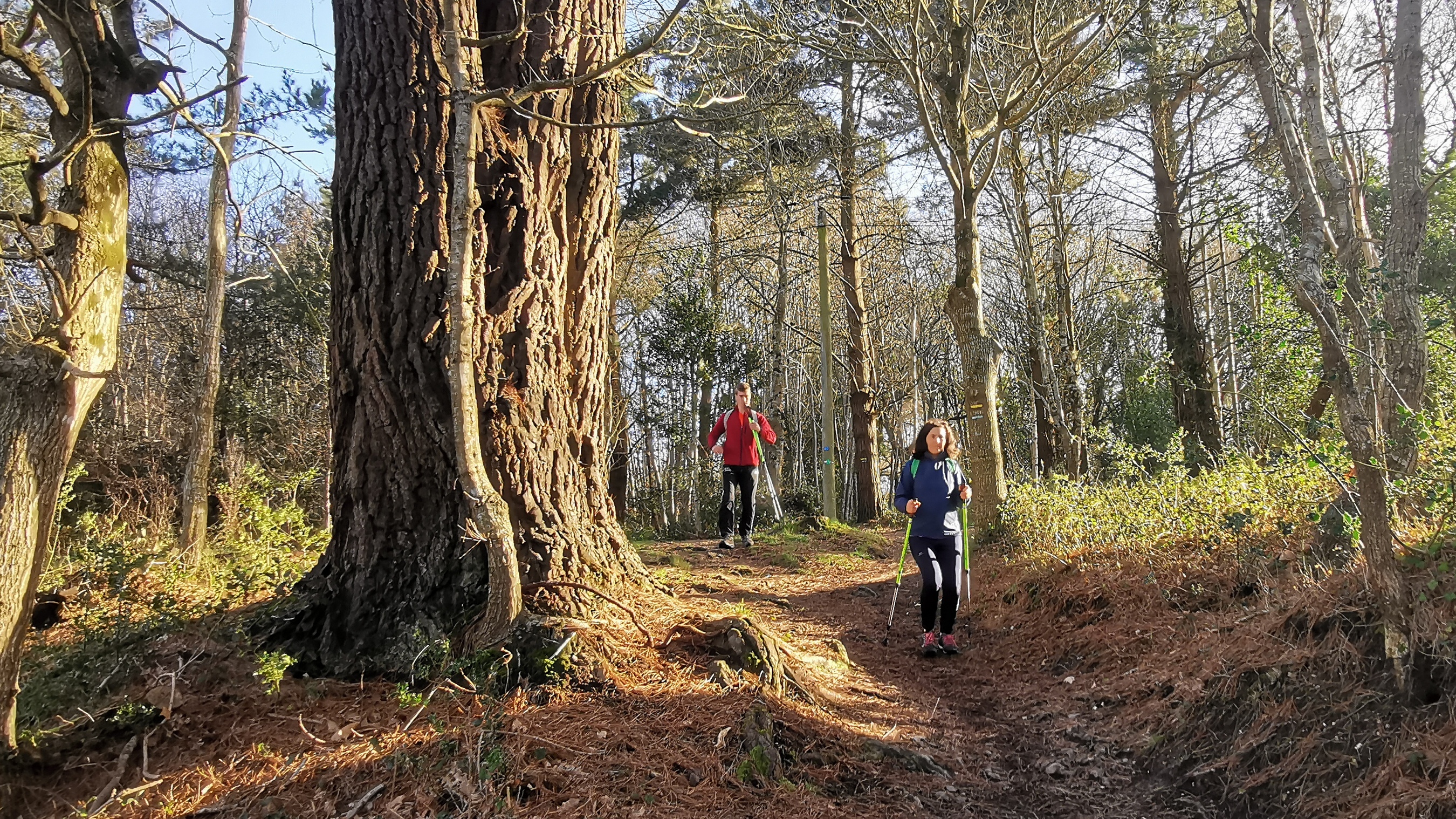 28-IMG_20210223_102209