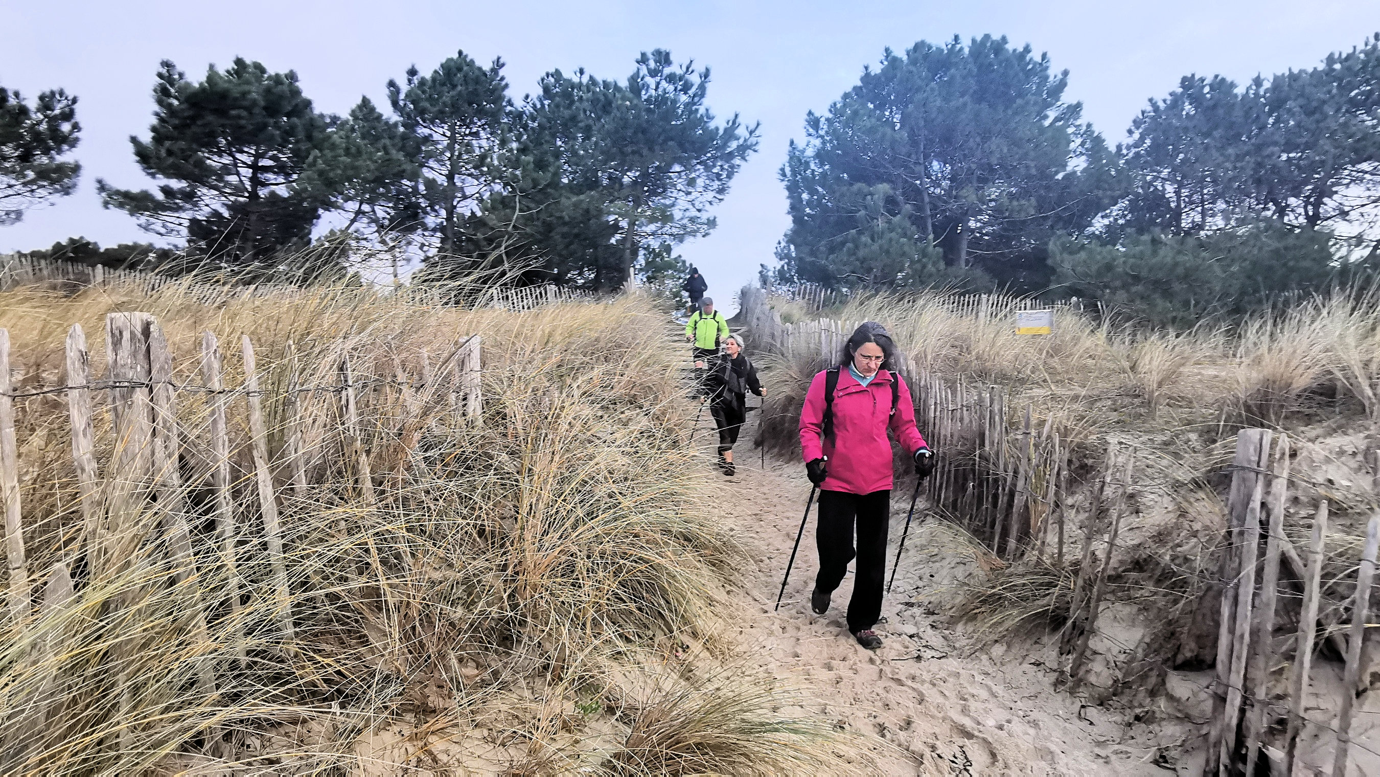 06-IMG_20210118_103121_1