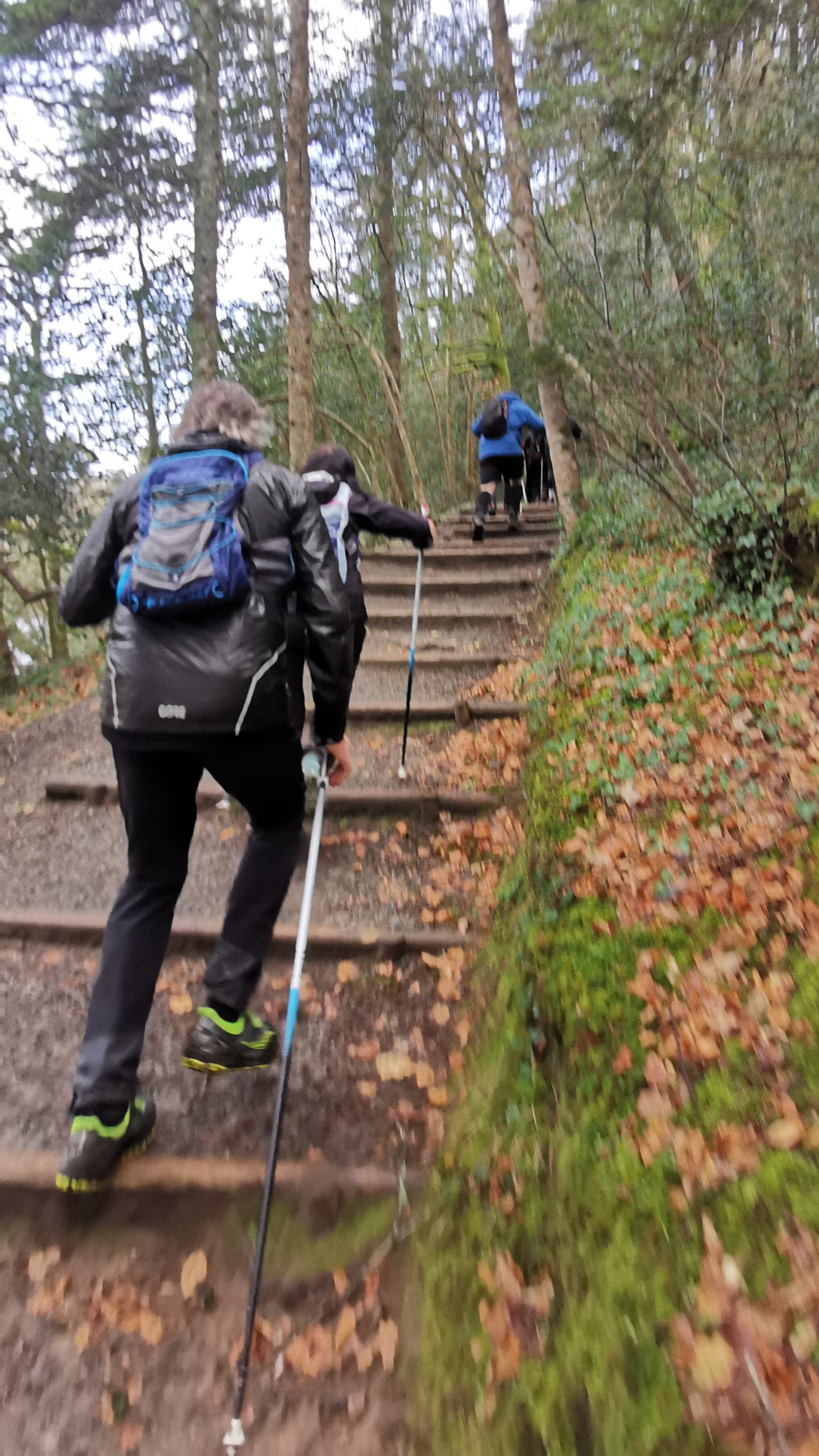 45-IMG_20210311_105947