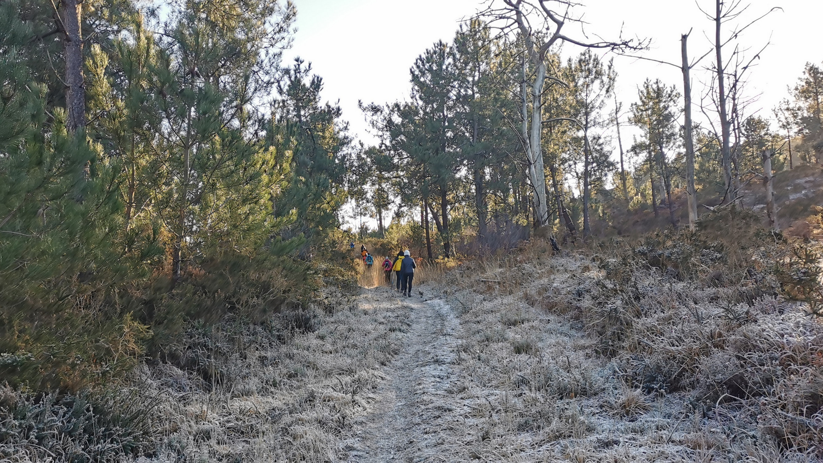 083-IMG_20210110_105014