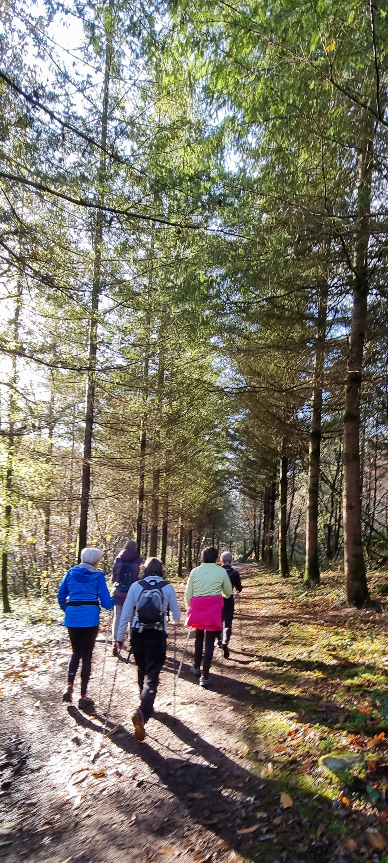 84-20211202_112707(0)