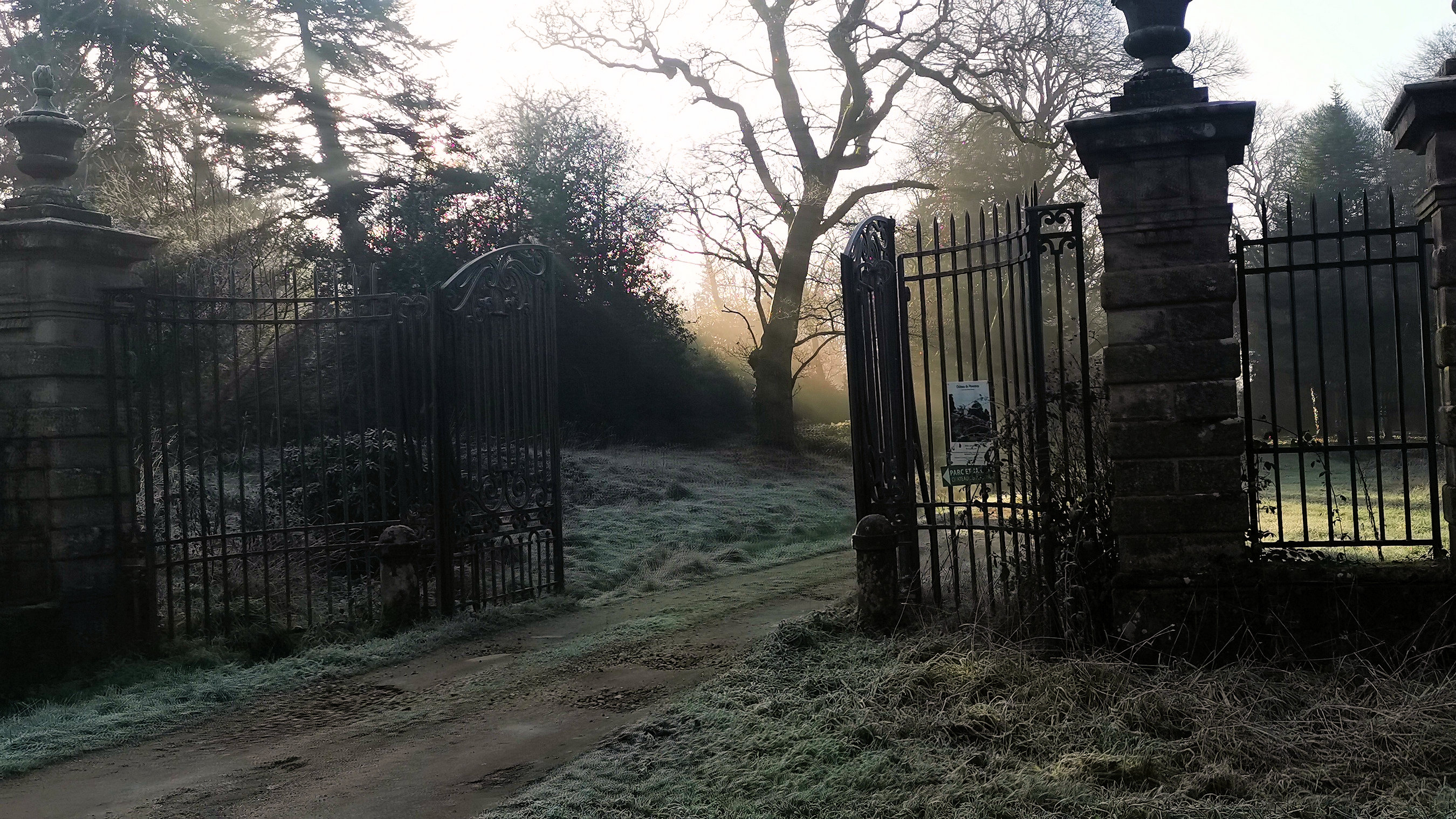 40-IMG_20210107_105341