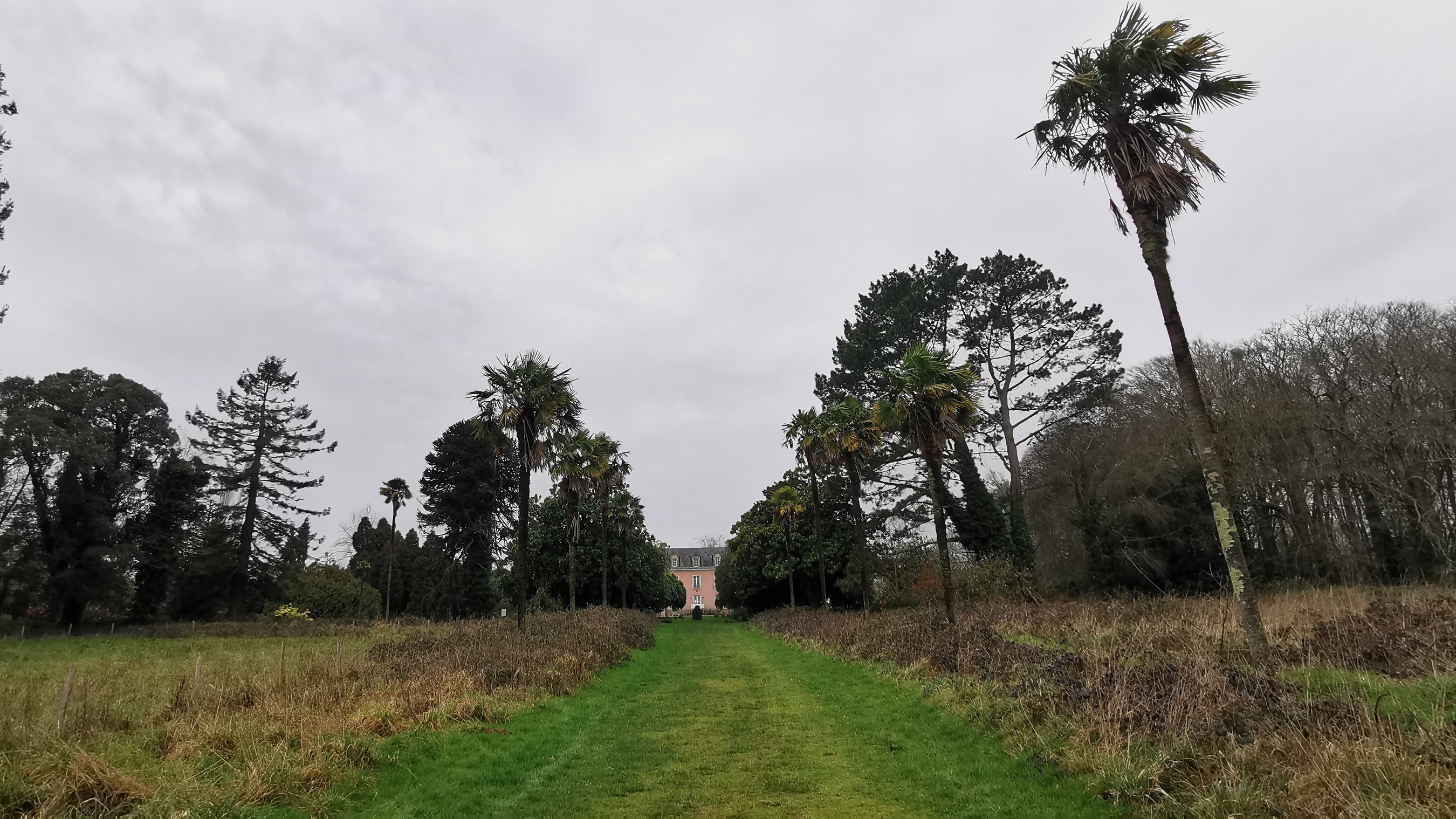 049-IMG_20210220_110622