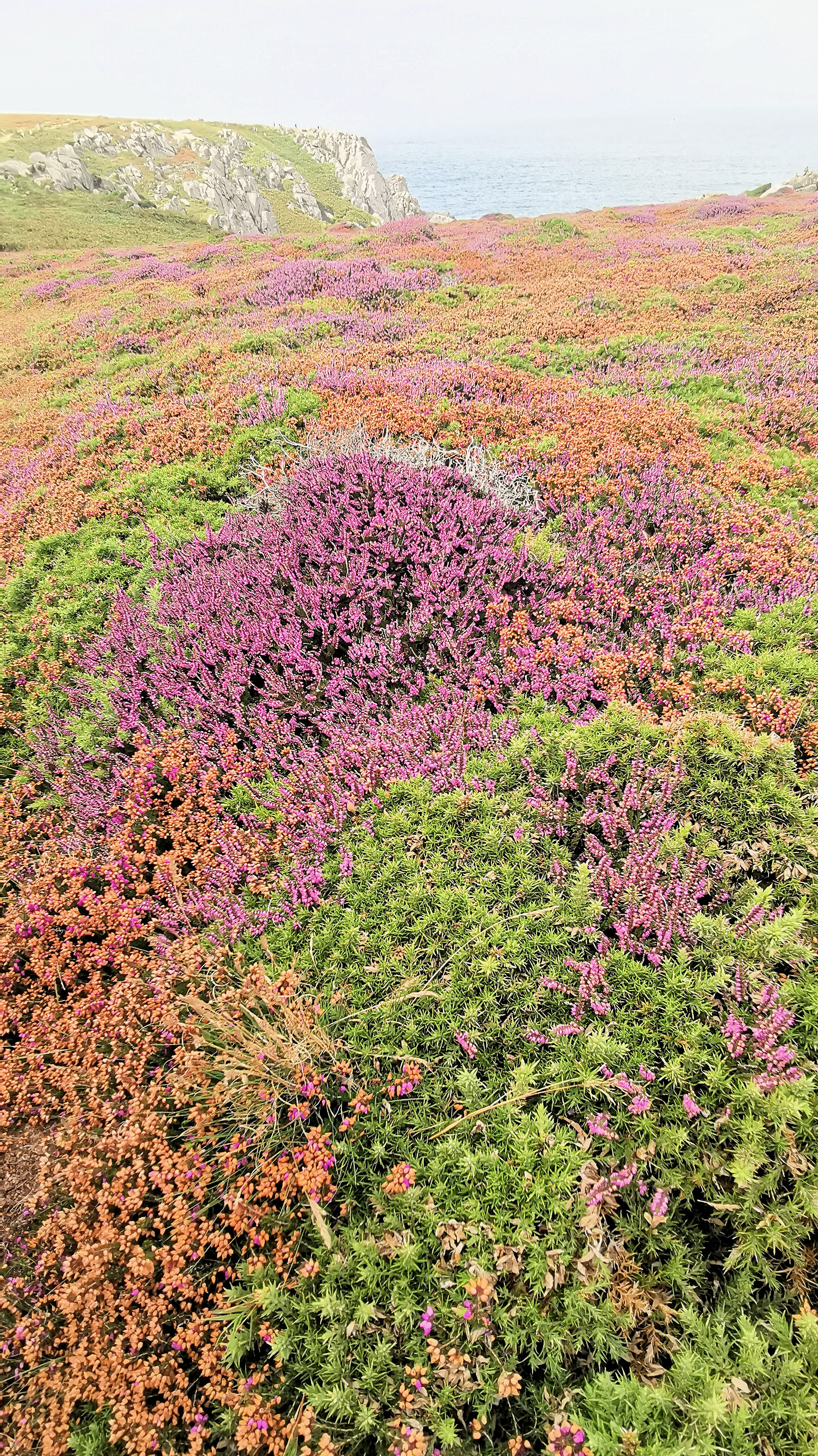 279-IMG_20210815_153314