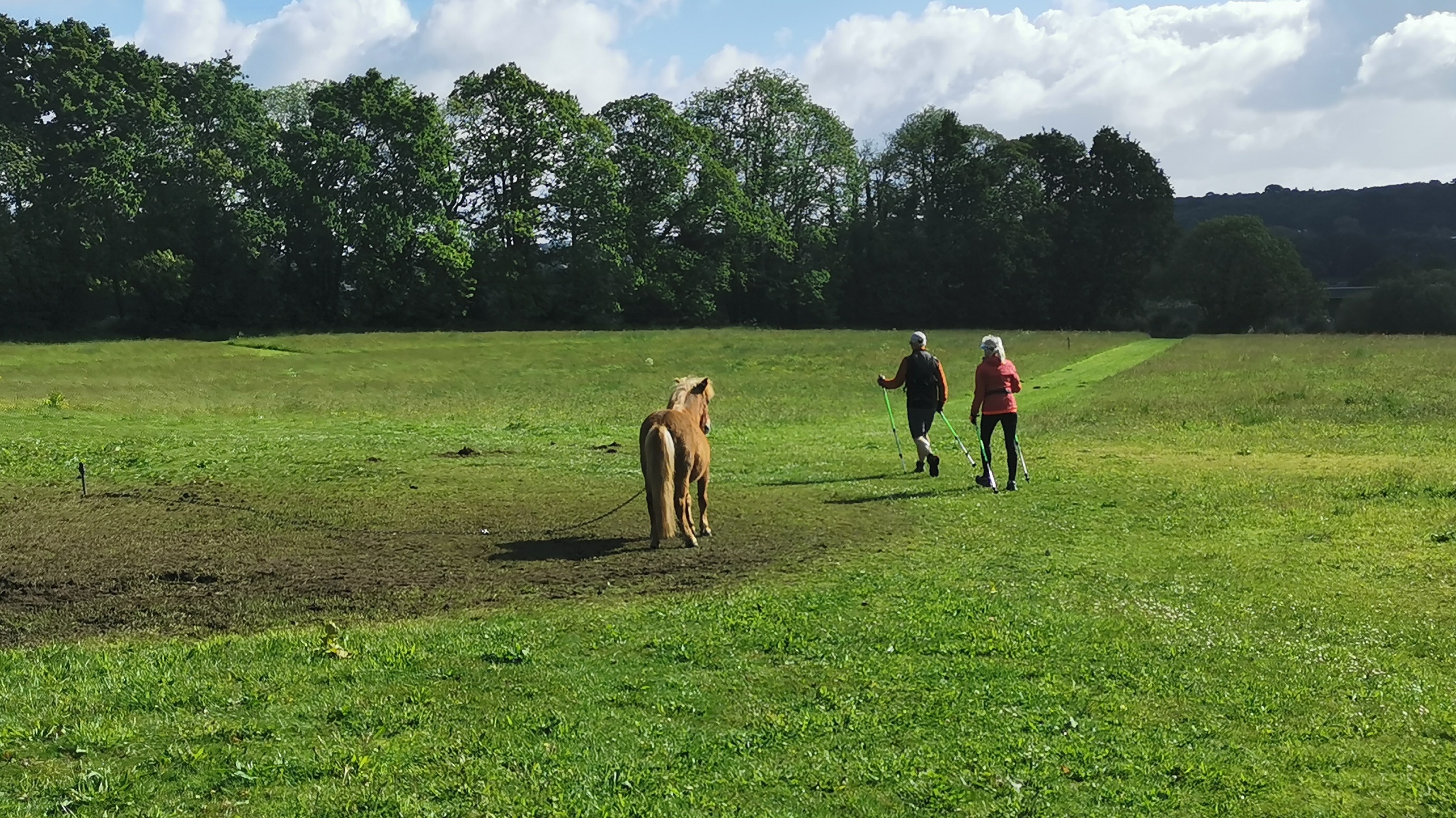 17-IMG_20210525_094755