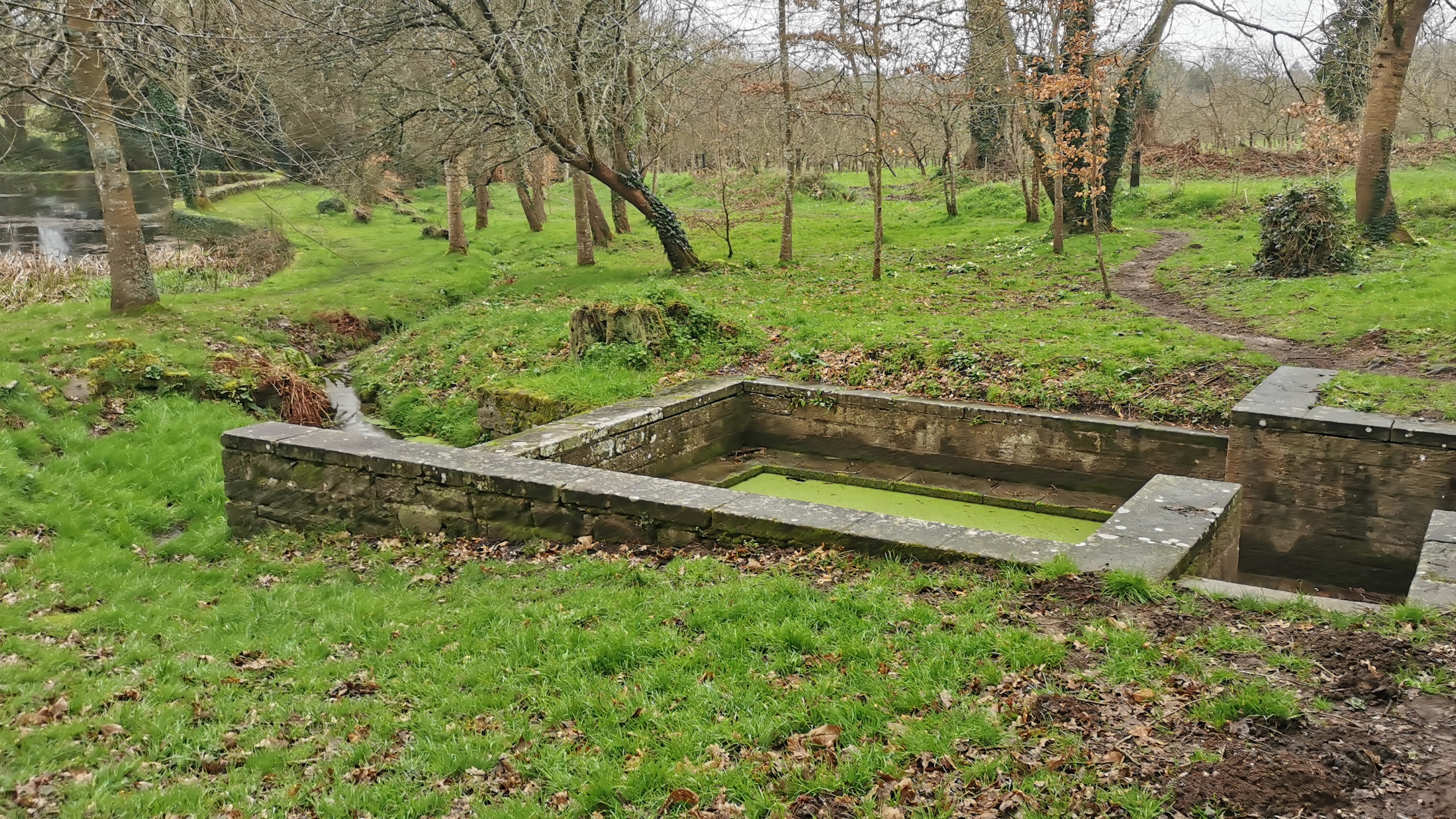 187-IMG_20210220_134715