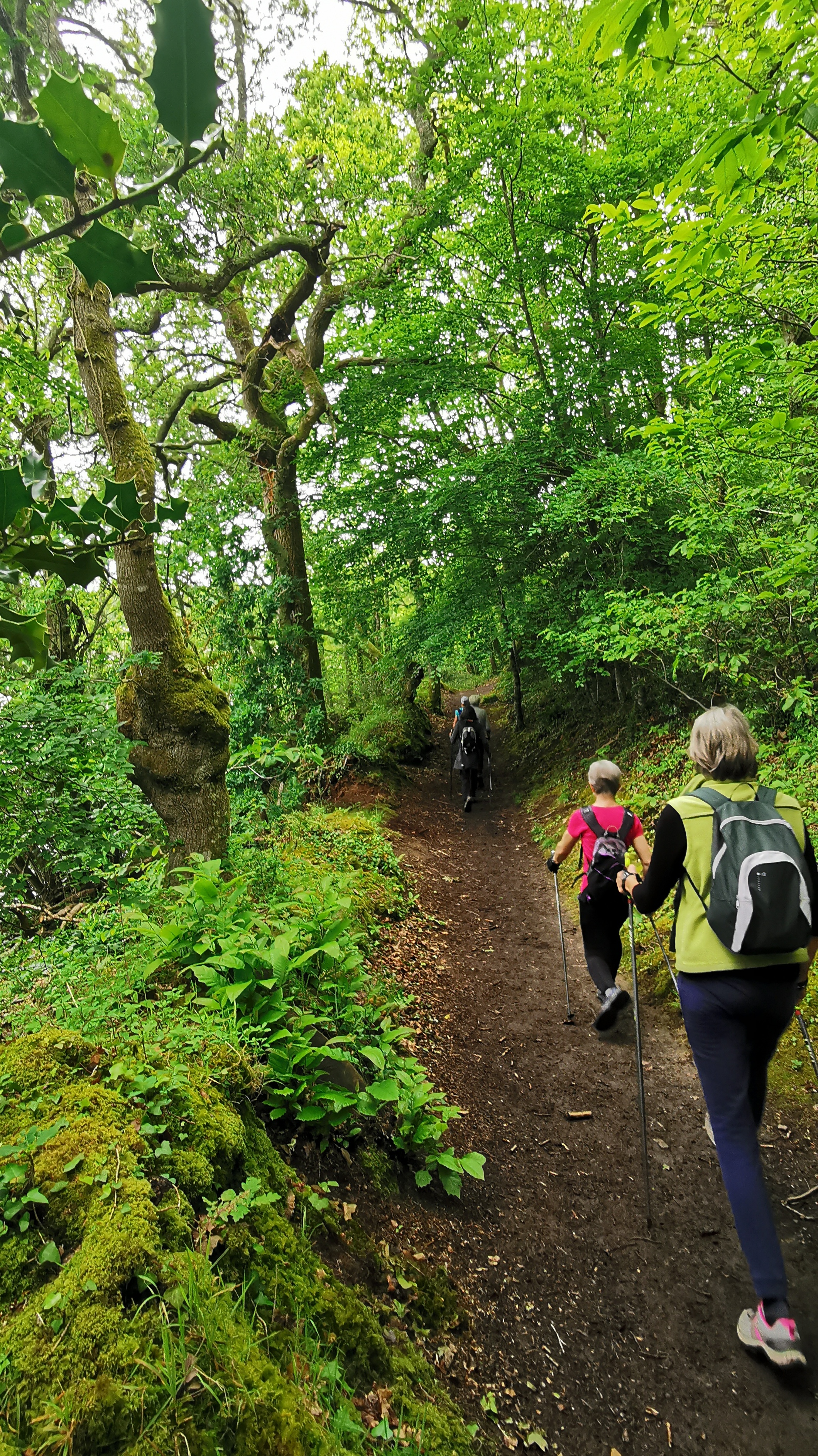 43-IMG_20210527_111620