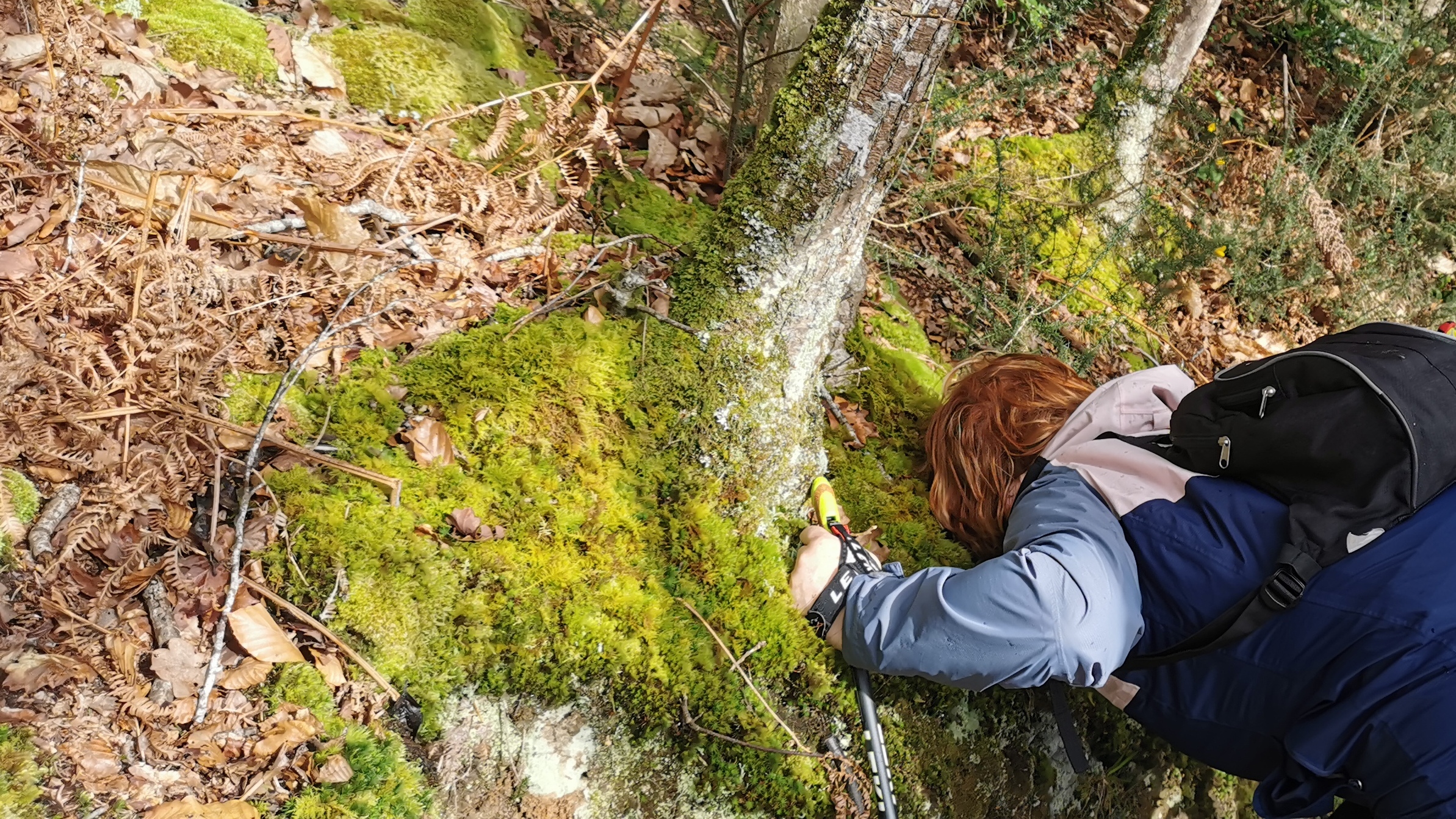 19-IMG_20210311_103149