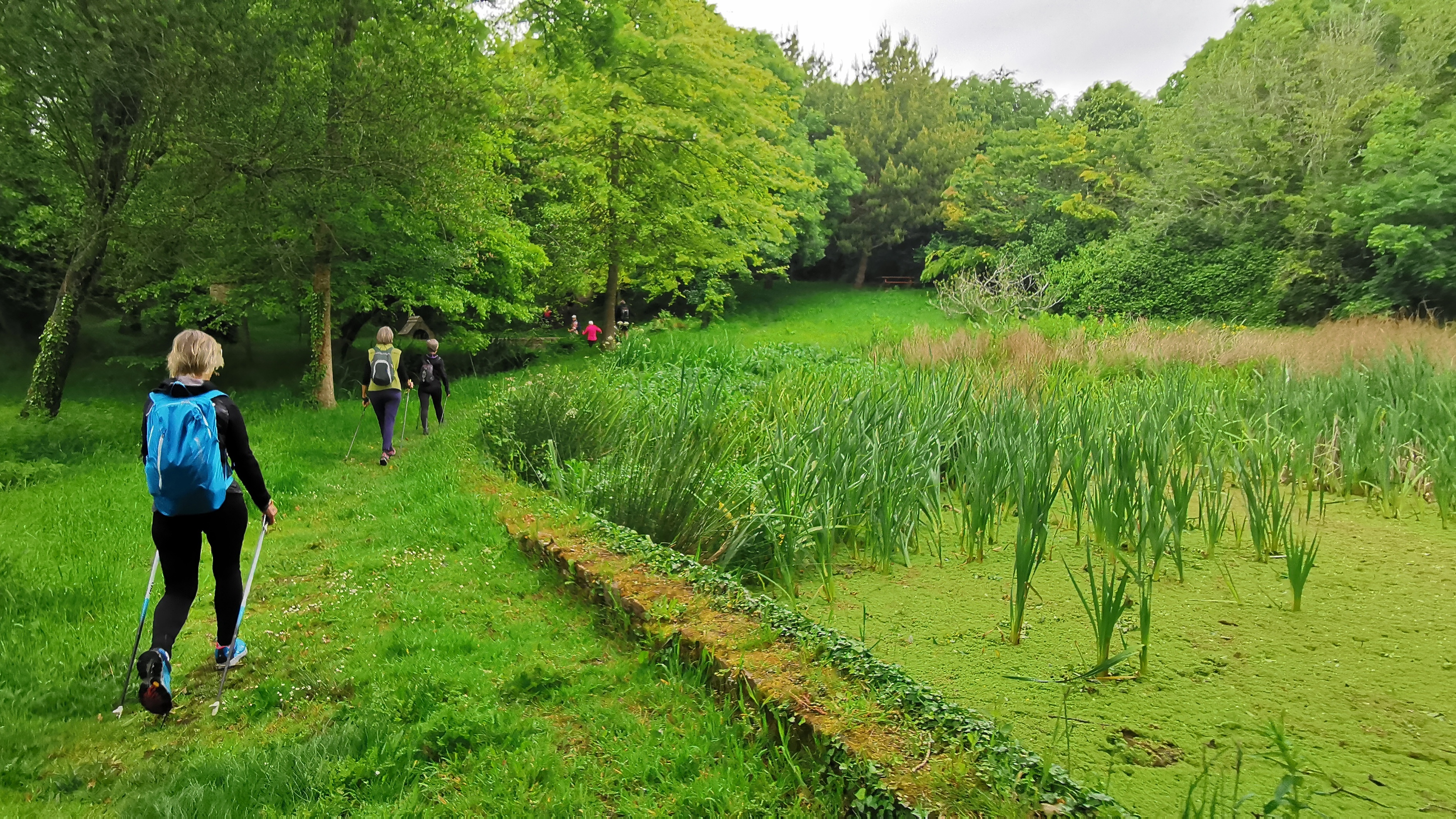 10-IMG_20210527_100155