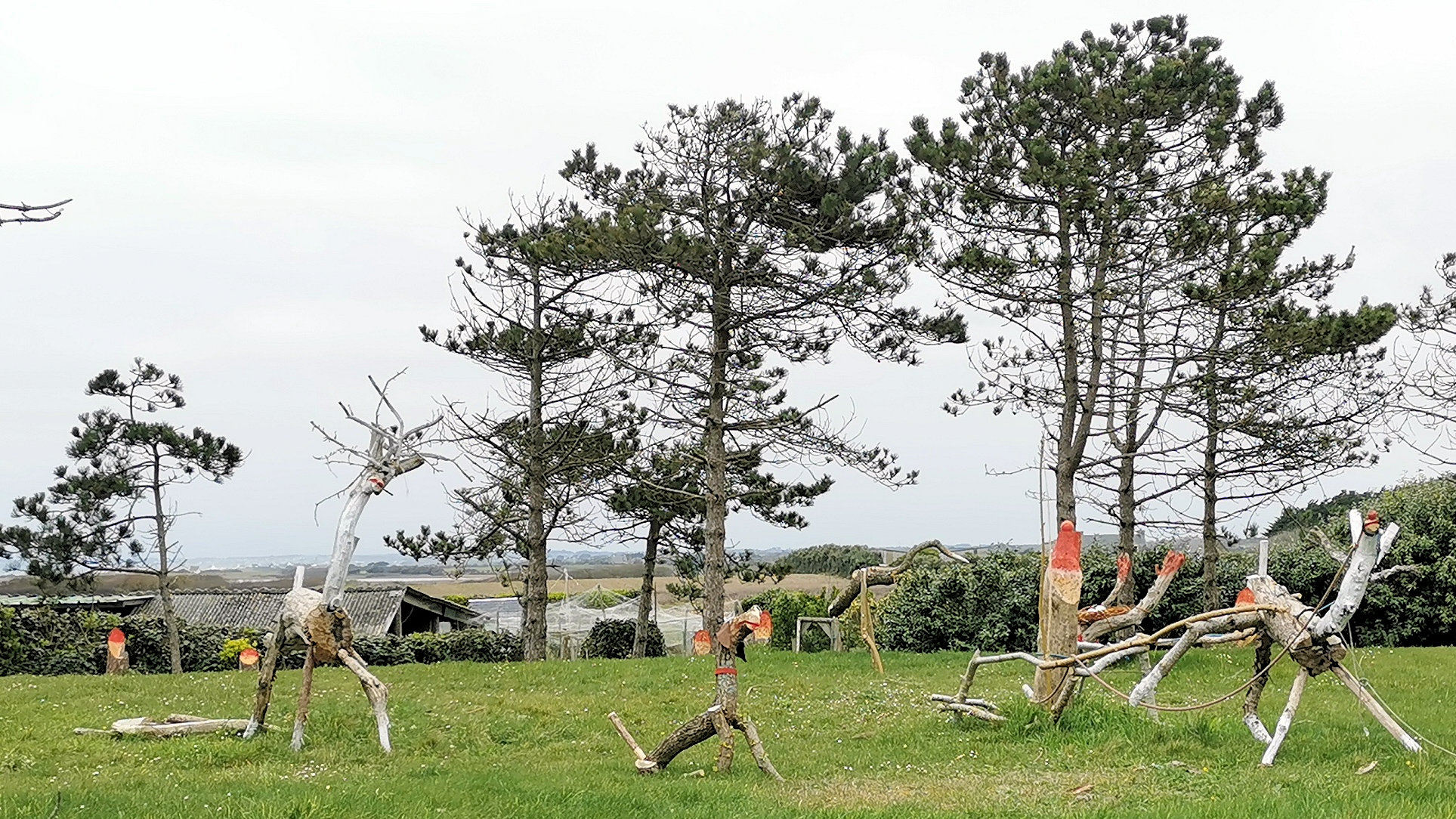 60-IMG_20210321_113022