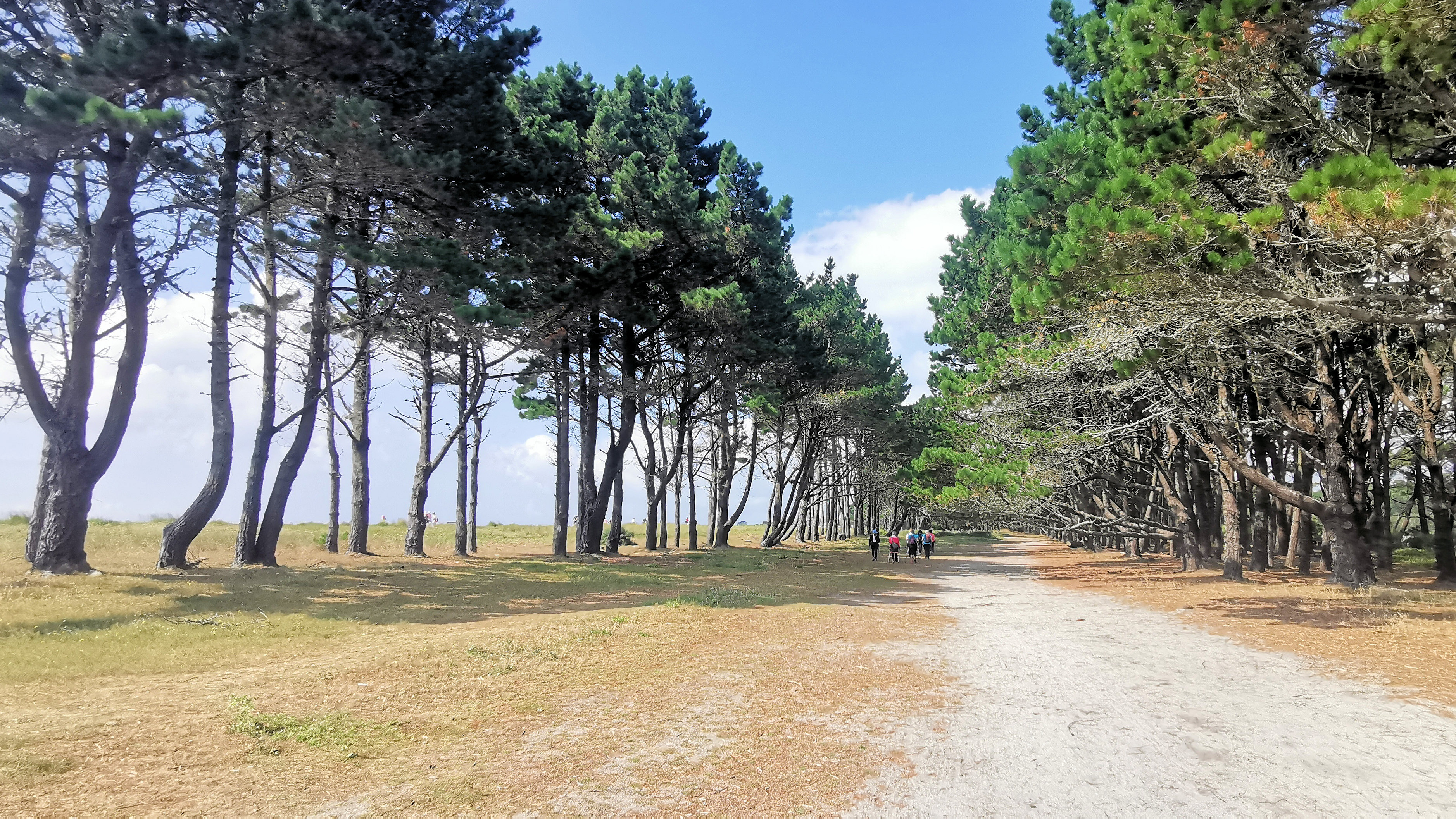 50-IMG_20210726_114953