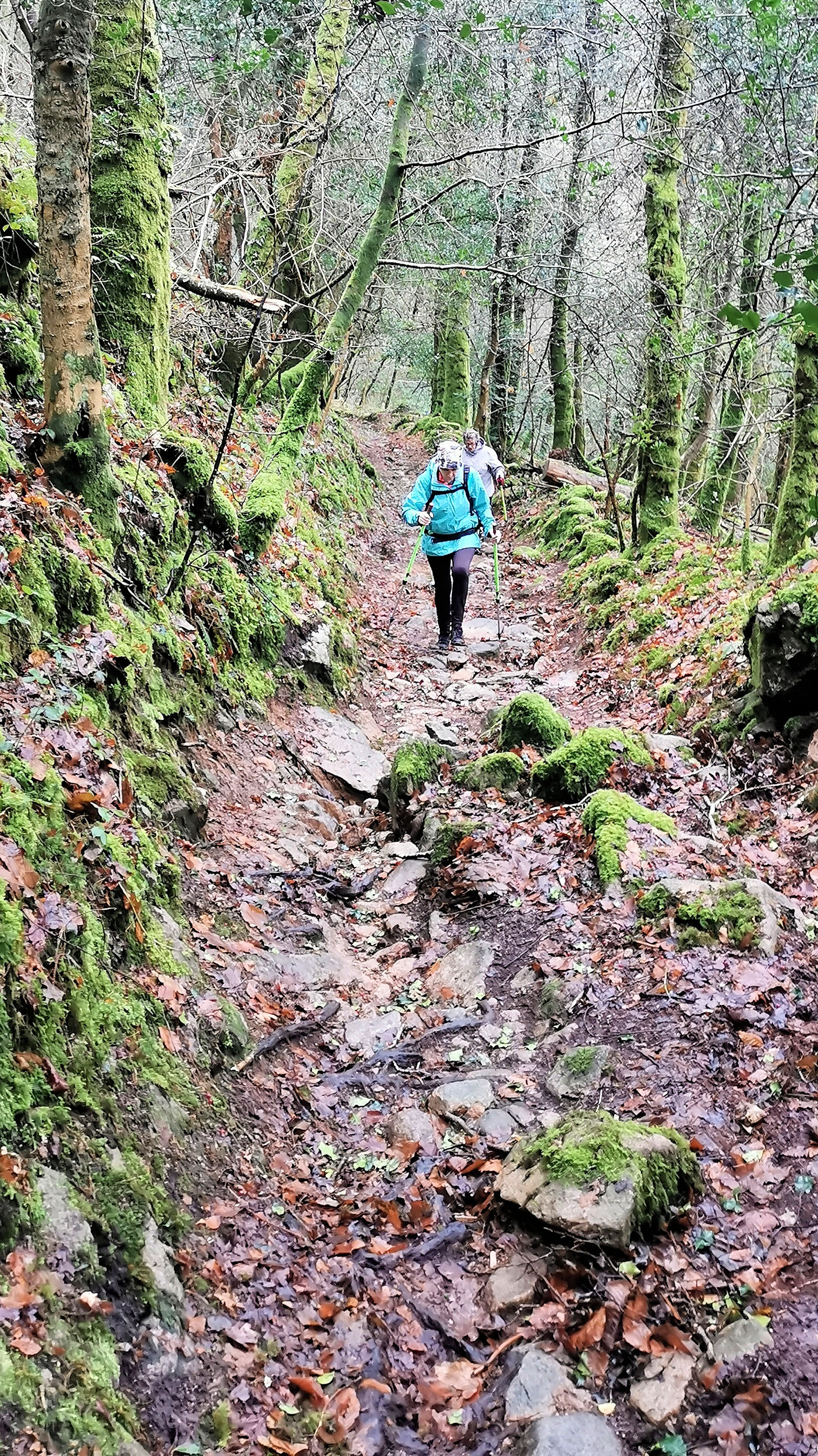 19-IMG_20210119_110630